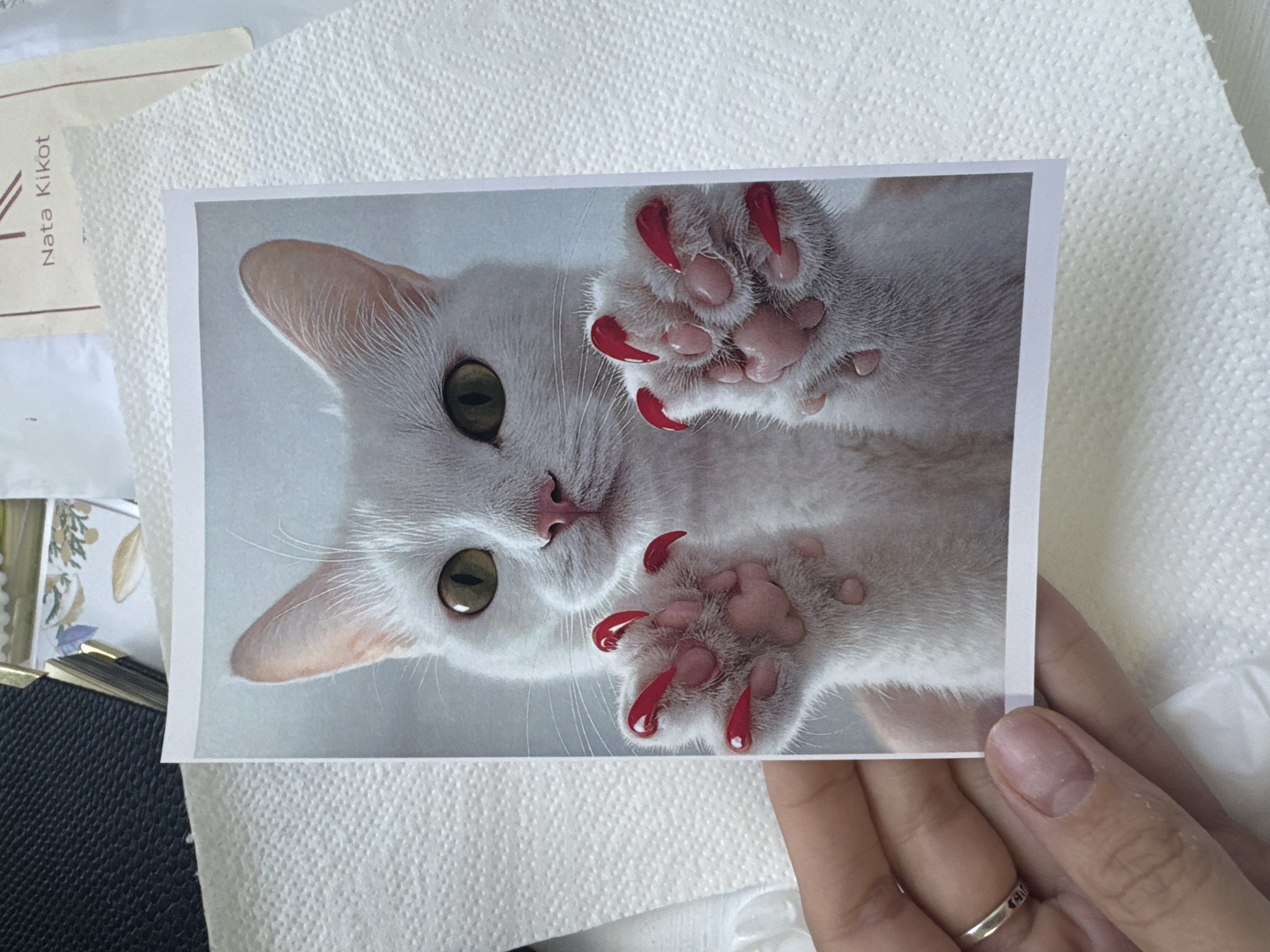 A photograph shows a close-up, slightly tilted image of a white cat with green eyes. The cat's paws are prominent, featuring digitally added, glossy red claws. The photograph is being held by a hand wearing a silver ring. The background includes a white, textured surface (possibly a napkin or paper towel) and a glimpse of a black object with gold accents and a card with the text "Nata Kikot". The photograph is not taken in the city of Izhevsk, Russia.
