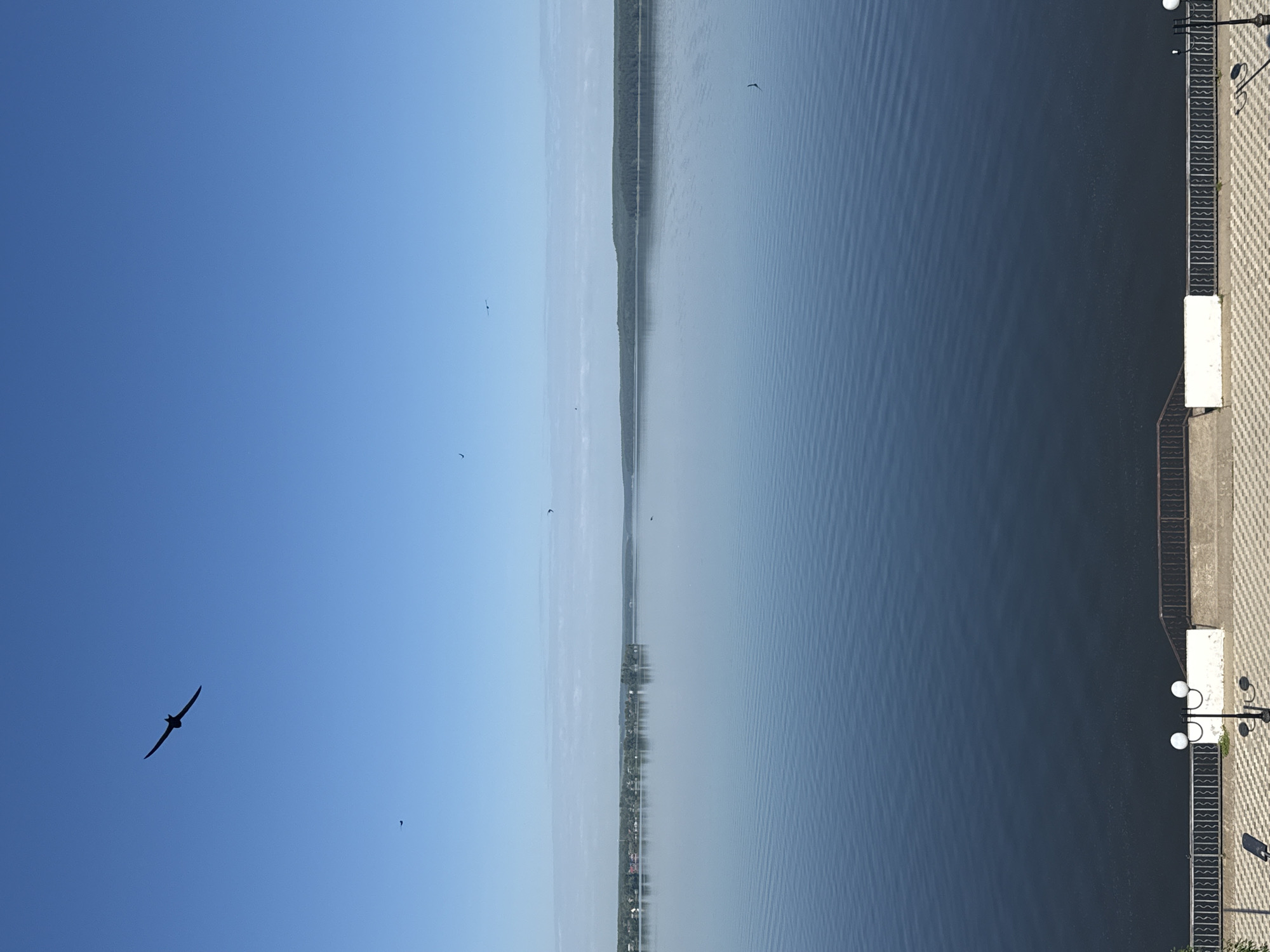 This is a full, eye-level, medium shot of the Votkinsk Reservoir in Votkinsk, Russia, on a clear, bright day. The reservoir occupies the majority of the frame, with calm, deep blue water reflecting the clear sky. A faint horizon line divides the water from the sky, with a distant, green, tree-covered bank on the left and a darker, tree-covered bank on the right. Several small birds are visible in flight across the expansive blue sky. In the foreground, a decorative paved walkway with a low, dark metal railing separates the viewer from the water. Two white lampposts with double lights are positioned on the walkway, and the pattern of the paving stones is visible.
