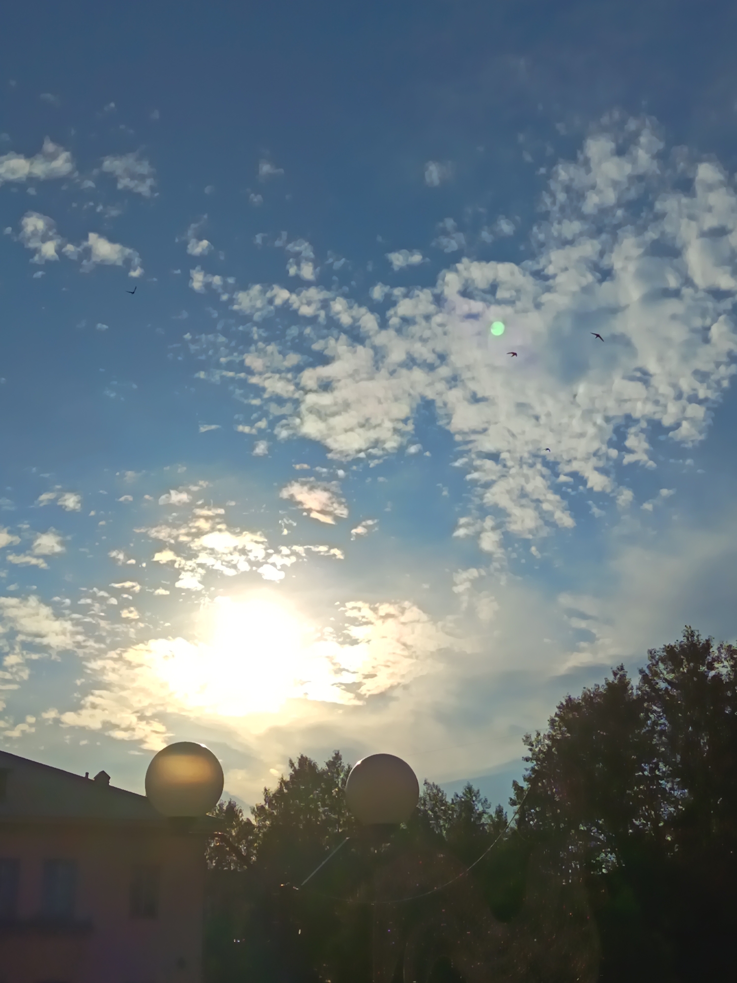 A wide-angle, low-angle, full shot captures a bright, sunny day in Svirsk, Russia, featuring a clear blue sky dotted with scattered, fluffy white clouds. The sun is prominently positioned in the upper left quadrant, casting a brilliant, warm glow that washes out some of the surrounding clouds and creates a lens flare. Several birds are visible in flight against the sky, appearing as small dark silhouettes. In the foreground, the tops of two spherical, illuminated streetlights are visible, one on the left and one slightly to the right of center, casting a soft, ambient light. Behind the streetlights, the roofline of a building is visible on the left side of the frame, with trees silhouetted against the bright sky filling the right side of the image.