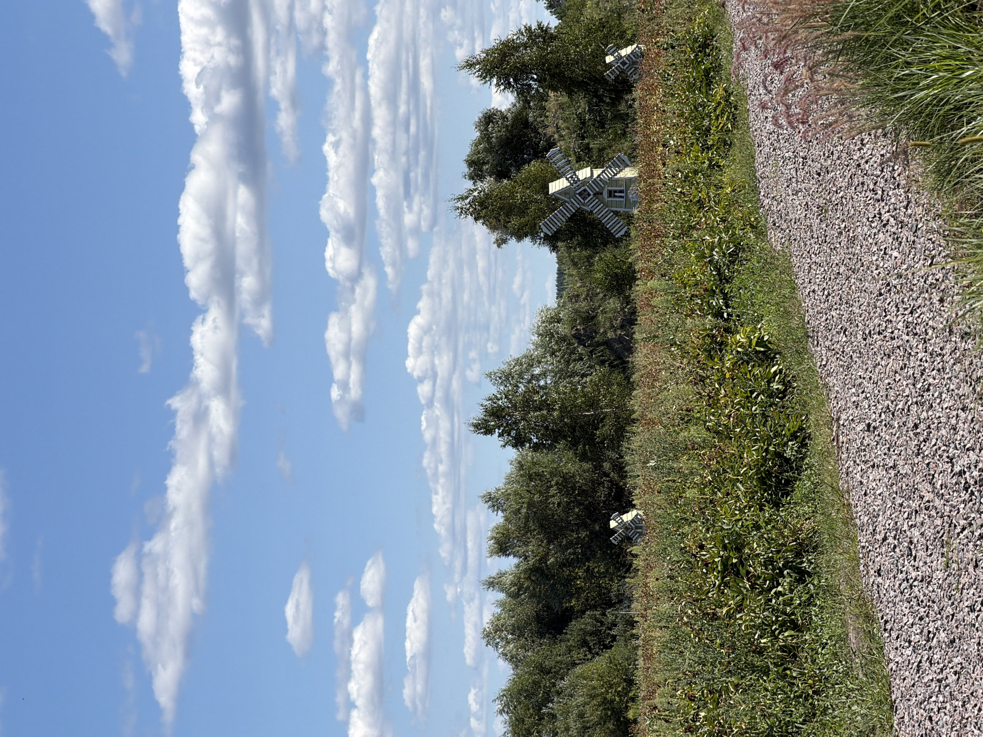 A gravel path curves through a field of tall, dry grasses and green foliage under a bright blue sky dotted with fluffy white clouds. In the background, a dense line of trees forms a backdrop to several small, decorative windmills. These windmills, painted white with light-colored blades, appear to be a whimsical addition to the landscape, positioned among the vegetation. The scene evokes a sense of rural tranquility, possibly within the village of Severynivka, Ukraine, given the context. No people or animals are visible in the image.
