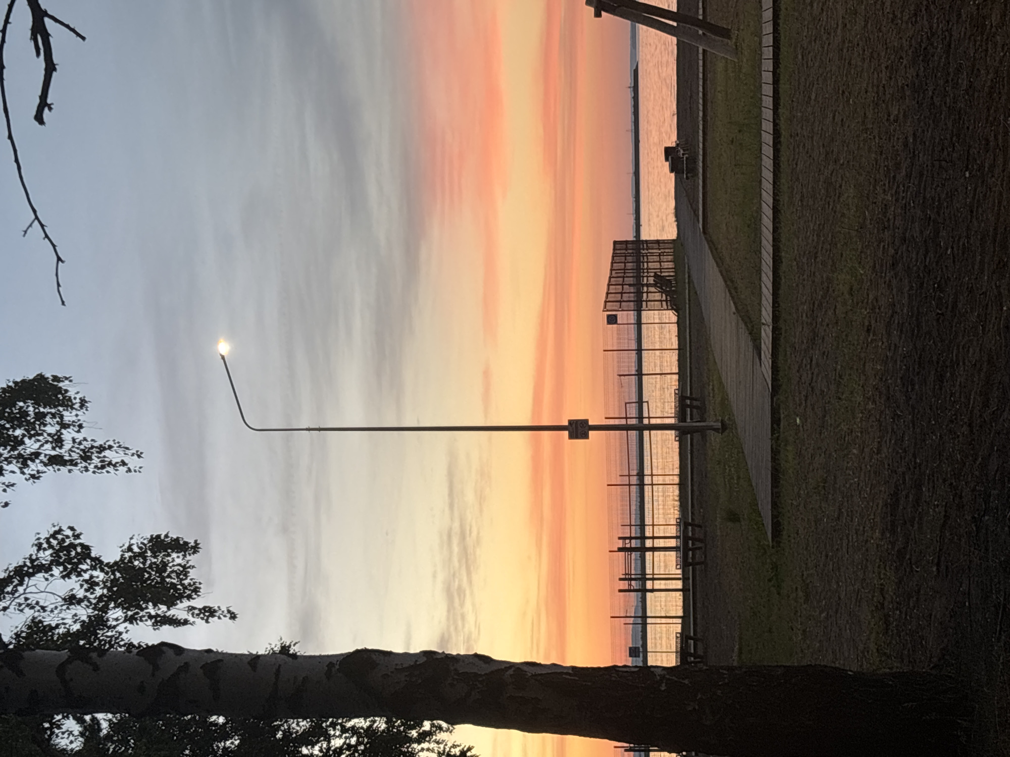 This is a photograph of the Kama River embankment in Chaikovsky, Russia, taken at sunset. The sky is a gradient of warm colors, transitioning from pale yellow near the horizon to pink and then to a pale blue. The calm water of the river reflects these colors. In the foreground, on the left, is the trunk of a large birch tree. A lamppost stands in the middle of the scene, and to the right of it, there is a fenced area, possibly a sports court, with benches visible inside. Wooden walkways are laid out on the grass. The overall scene depicts a peaceful evening at a waterfront recreational area.