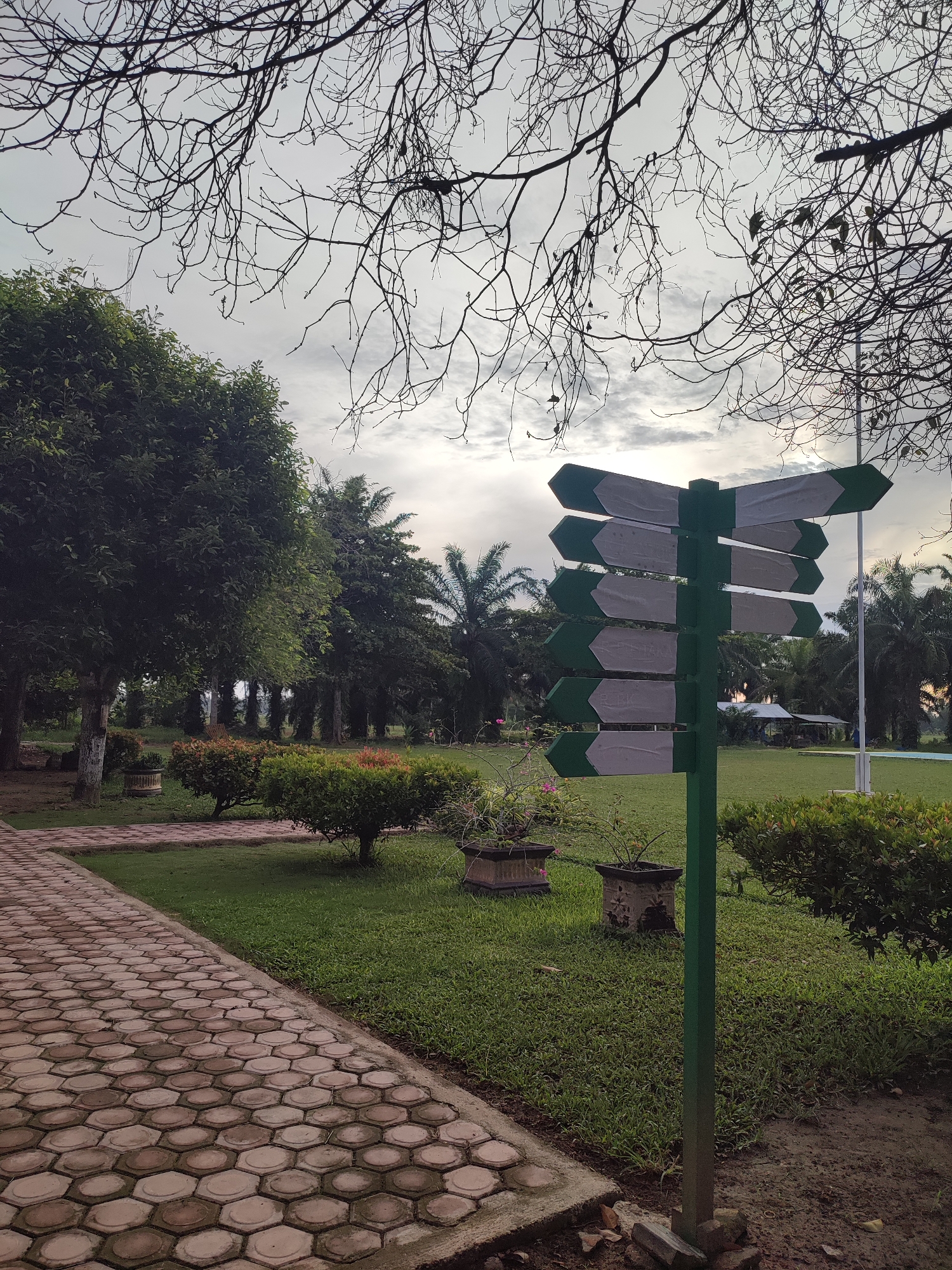The image presents a view within a park setting located in Blangriek, Indonesia. A brick walkway composed of interlocking hexagonal blocks leads into the frame from the lower-left corner. Well-manicured green grass covers much of the ground, interspersed with flowering bushes and small potted plants. A tall, green signpost, with numerous directional arrows attached, stands in the middle-ground, indicating directions to various locations; the sign is in disrepair. Beyond the signpost and shrubbery, several trees are visible, including palm trees. In the background, a structure is visible in the distance, situated on a grassy lawn. The sky is overcast, suggesting either early morning or late afternoon. Bare branches of trees are visible at the top of the frame against the cloudy sky. There are no people visible in the image.