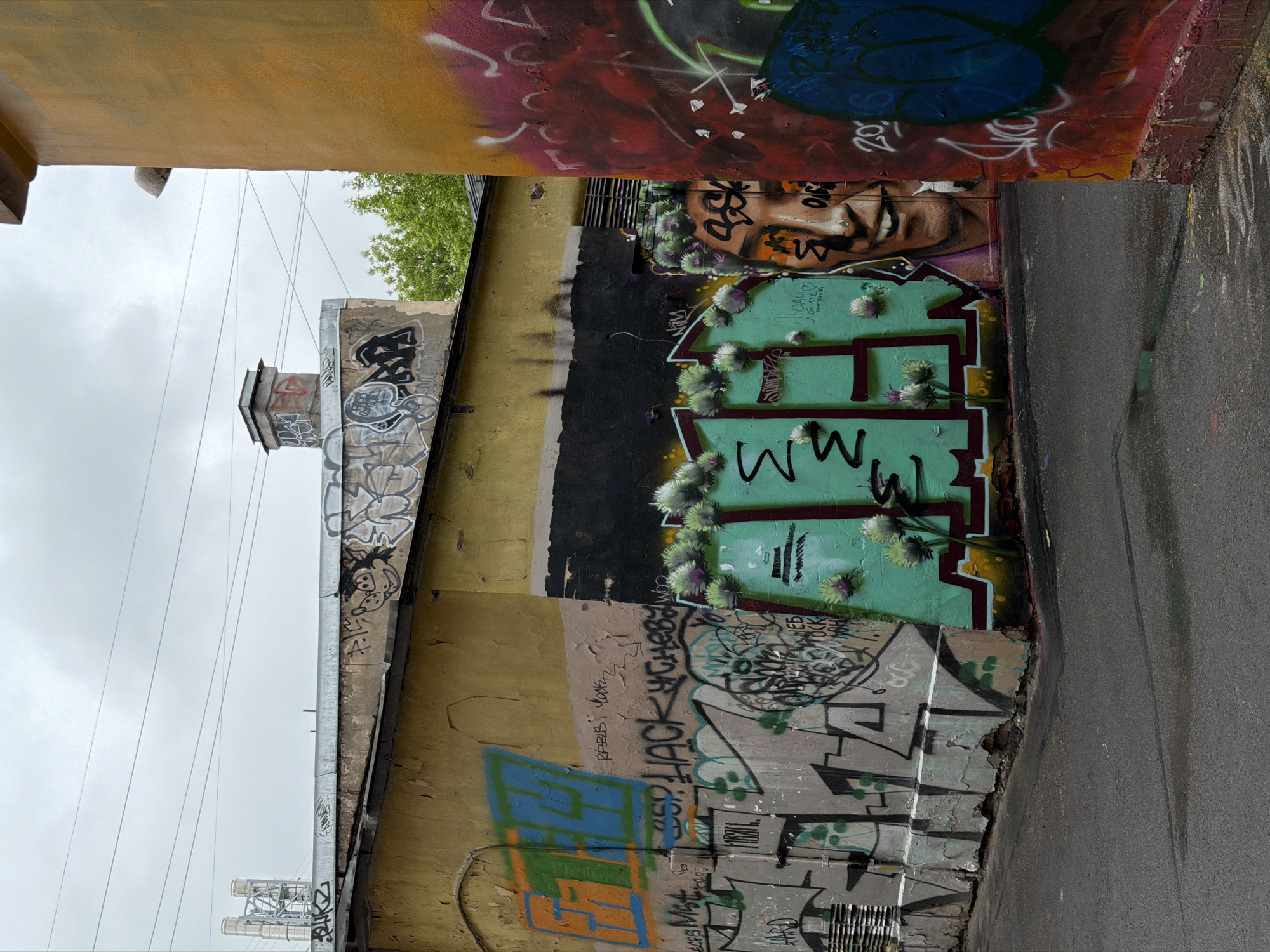 The image depicts a narrow passage in Saint Petersburg, Russia, characterized by graffiti-covered walls. The walls feature a variety of graffiti styles, including lettering, tags, and pictorial representations. The street surface is paved with asphalt, and the sky is overcast. The passage is framed by buildings on both sides, creating a confined urban space. The presence of vegetation at the top of the frame suggests trees or shrubs are growing in the vicinity. Architectural details such as pipes and possibly a chimney add to the urban context.