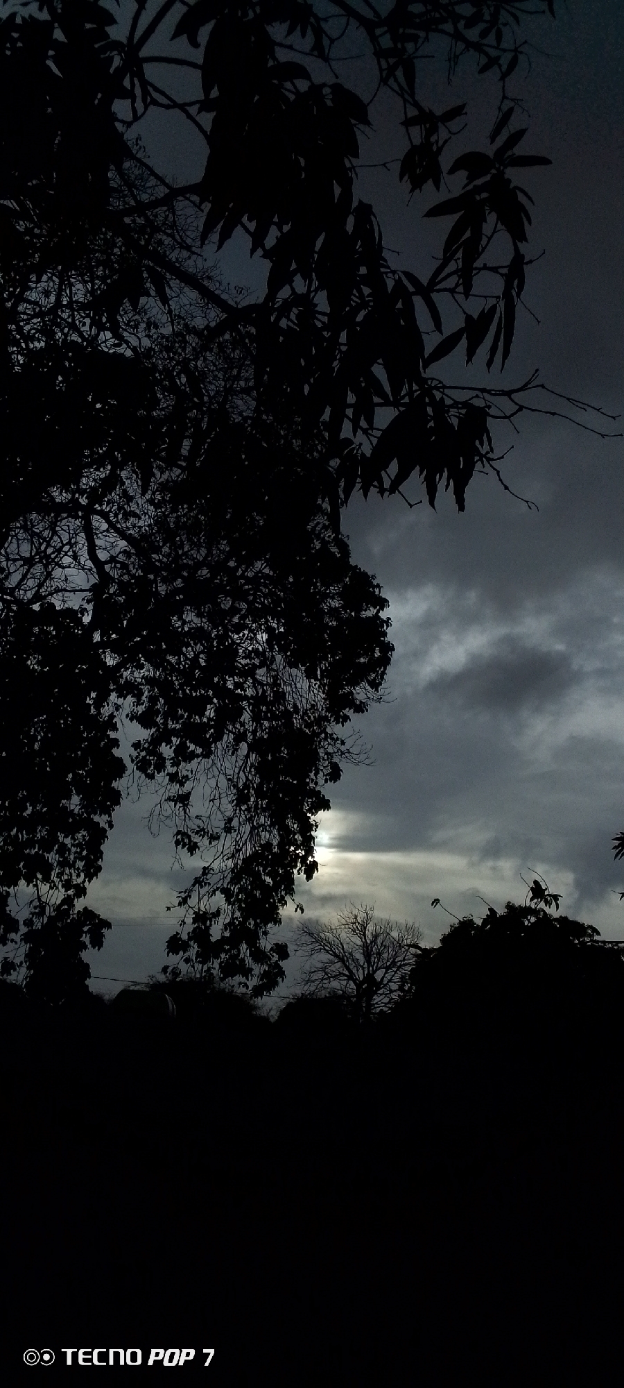 A low-angle outdoor shot taken in what appears to be Altagracia, Venezuela, shows a silhouette of a tree with dense foliage in the foreground against a cloudy, overcast sky. The light from the sun is visible behind a layer of clouds, creating a dim and somber atmosphere. Other trees are present in the midground, also in silhouette. The lower part of the frame is engulfed in darkness, obscuring details. At the bottom of the frame, the words "TECNO POP 7" are visible.