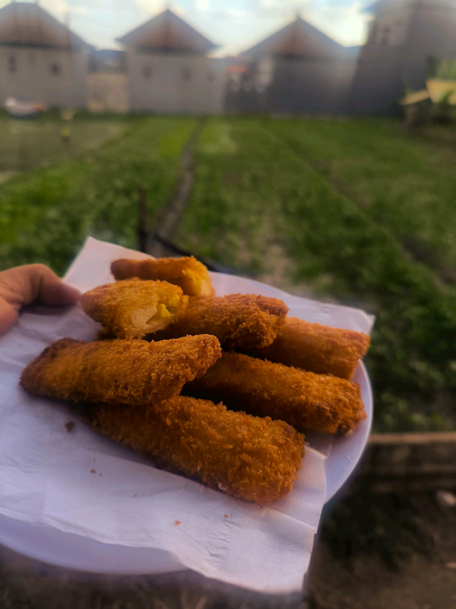 A close-up, shallow depth-of-field shot shows a person's hand holding a white plate with a stack of golden-brown, breaded, fried food items. The food is rectangular and appears to be some type of pastry or snack, with one piece broken open revealing a pale yellow interior. The plate is resting on a white napkin. In the blurred background, there are several buildings with peaked roofs, suggestive of residential structures, and an expanse of green fields, likely rice paddies, with a narrow water channel running through them. The sky above is a hazy blue with hints of clouds. This scene is set in Tabanan, Indonesia, characterized by its agricultural landscape and distinct architecture.