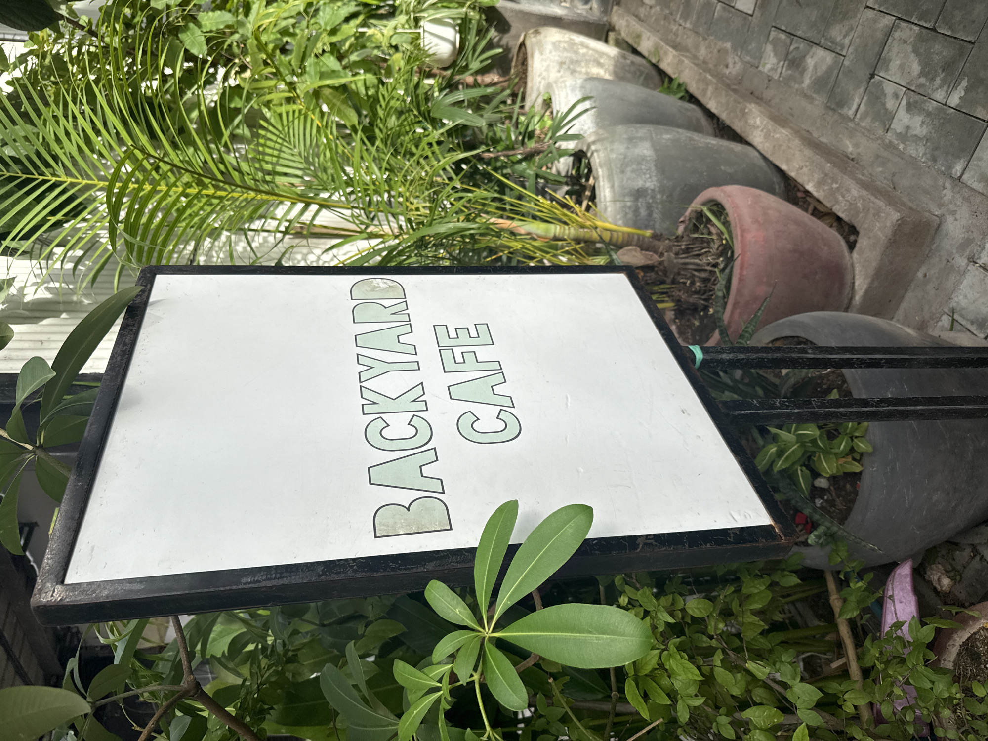 A close-up, eye-level, medium shot captures a white sign with the words "BACKYARD CAFE" printed in a light green, outlined font. The sign is framed by a black metal border and is angled slightly towards the viewer. Behind the sign, lush green foliage fills the background. To the right of the sign, a cluster of potted plants, including a palm tree with feathery fronds and other leafy plants in large, grey, cement pots, are visible. The pots are arranged along a paved pathway made of square, grey tiles. The foreground shows the base of the sign and more plants in pots, including a red terracotta pot. The lighting suggests it is daytime, with some shadows cast by the surrounding plants. The scene appears to be an outdoor seating area for a cafe, likely in a tropical or subtropical climate. The specific location in Khan Daun Penh, Cambodia, is not visually discernible from the image itself, but the lush vegetation and paving style are consistent with outdoor cafe settings in Southeast Asia. There are no people or animals visible in the frame.