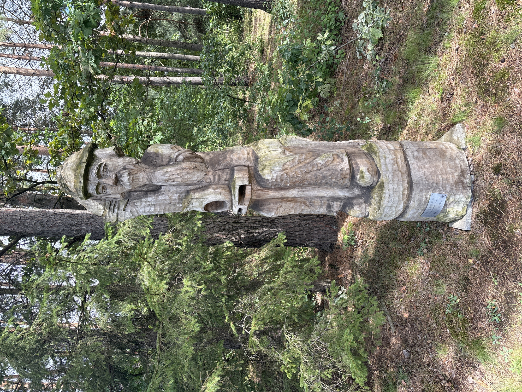 The image shows a wooden sculpture of a man's head and upper body, carved in a folk art style. The sculpture is weathered and stands on a cylindrical base. It is positioned outdoors in a forest or park setting, with trees and foliage visible in the background. A small plaque is attached to the base of the sculpture. The location is identified as Sielachowskie, Poland.