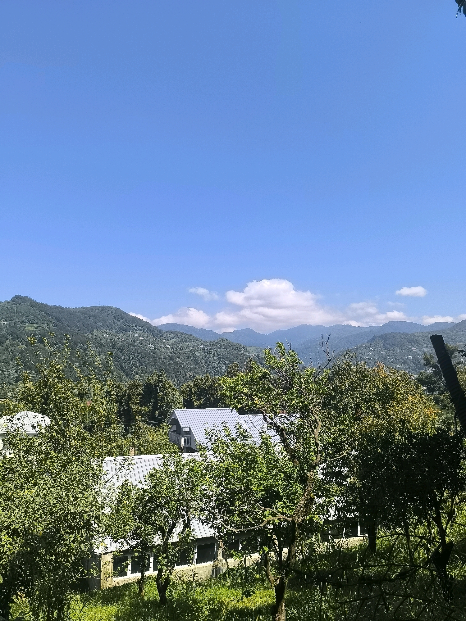 This is a photograph of a mountainous landscape on a sunny day, possibly in or near Batumi, Georgia. The sky is a clear, vibrant blue with a few fluffy white clouds scattered across it. The foreground is dominated by lush green trees and foliage, with some appearing to be fruit-bearing trees. In the middle ground, there are two buildings with light-colored, corrugated metal roofs. These buildings appear to be residential or perhaps agricultural structures. Beyond the immediate buildings and trees, the scene transitions to rolling green hills covered in dense forest. Further in the distance, more layers of mountains are visible, receding into a hazy blue, suggesting a significant distance. Small white structures, possibly houses or other buildings, are dotted across the slopes of the mountains, indicating a human presence in the area. The overall impression is one of a rural, possibly mountainous area with clear weather, likely during daylight hours. There are no people or animals visible in the frame.