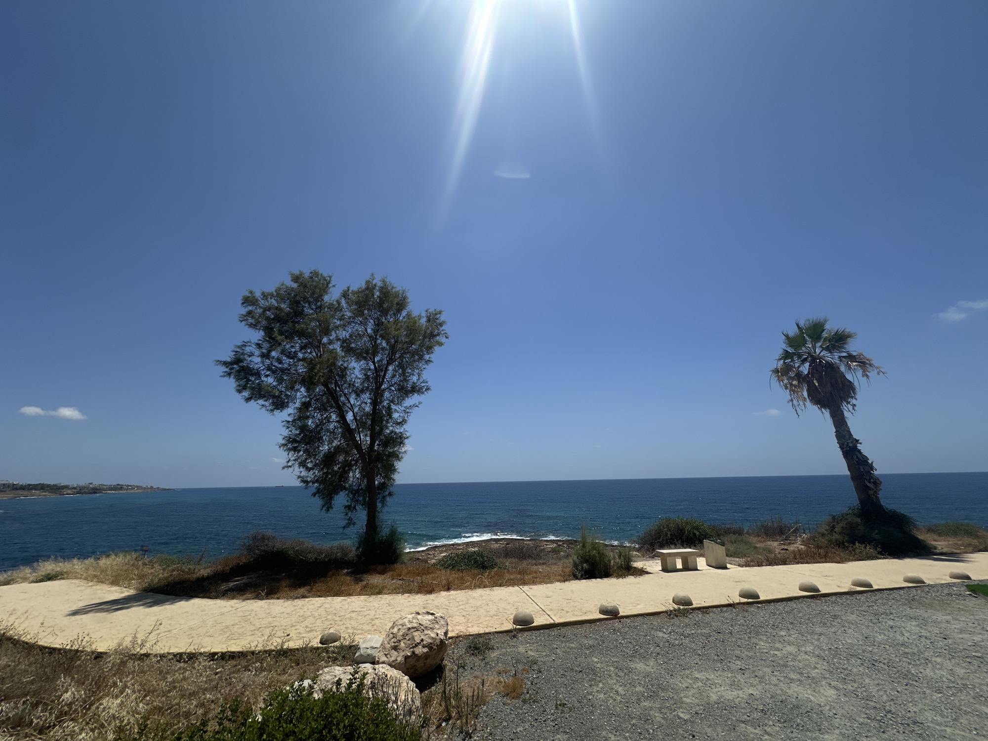 This is a landscape photograph taken on a sunny day in the Kissonerga Community, Cyprus, overlooking the Mediterranean Sea. In the foreground, a gravel pathway is visible, transitioning to a sandy path bordered by concrete and rounded stones. To the left, a large, weathered rock sits among dry grass and green bushes. Further back, a tree with sparse foliage stands on a small incline.
The middle ground features a coastal path with a concrete surface and more rounded stones. Along this path, a light-colored bench and a trash receptacle are placed. Beyond the path, dry grass and shrubs cover the undulating terrain.
The horizon is dominated by the deep blue sea, with gentle waves breaking against a rocky shoreline. The sky is a clear, bright blue, with the sun prominently positioned in the upper portion of the frame, casting lens flares. On the right side of the image, a leaning palm tree with dry fronds stands on a grassy mound overlooking the sea. In the far distance, a coastline with buildings is visible.