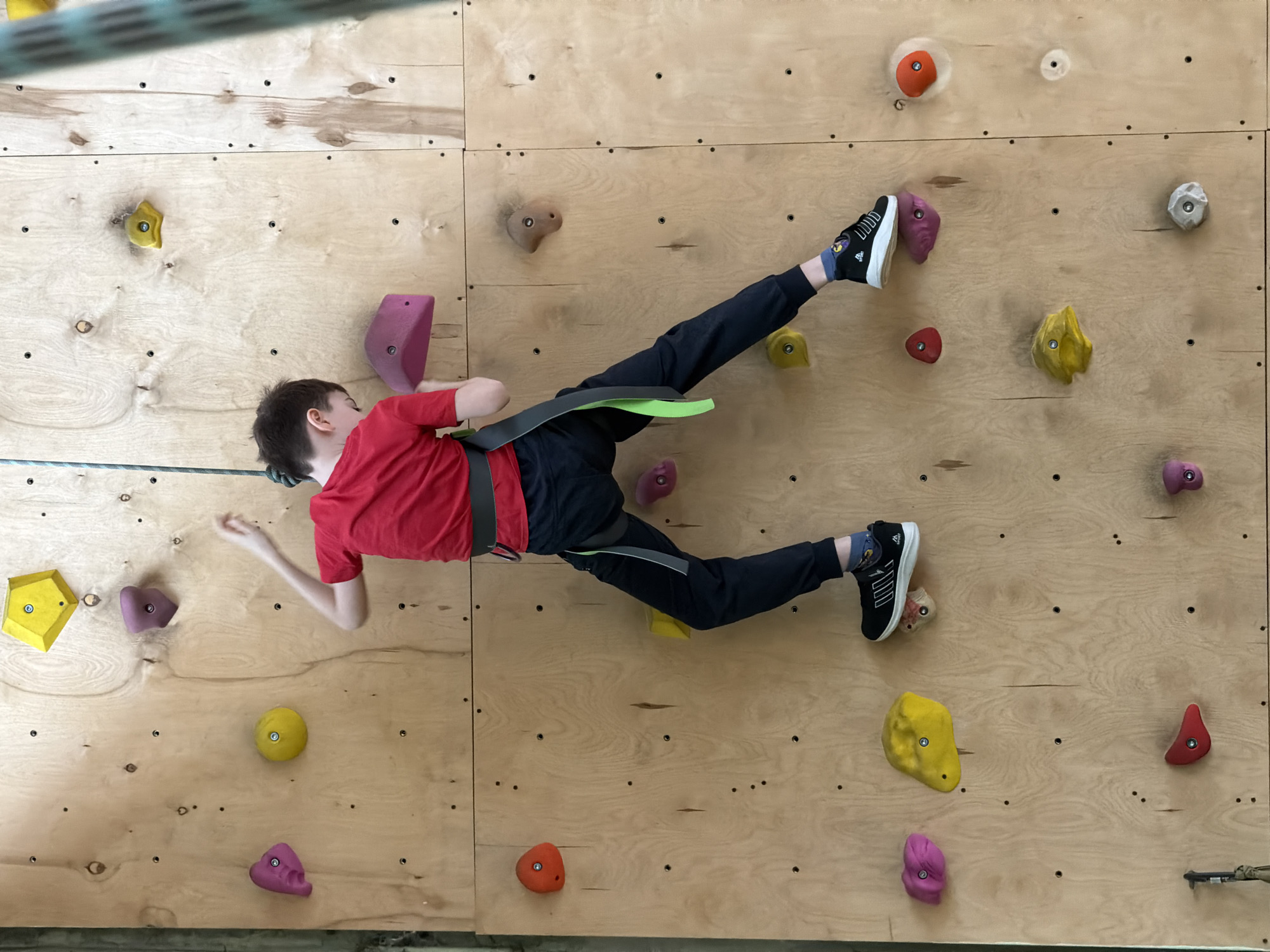 A young person, likely male, is captured mid-climb on an indoor rock wall. Dressed in a red short-sleeved t-shirt, dark pants, and black sneakers with white soles, they wear a grey climbing harness with a bright lime green accent strap. They are suspended horizontally, almost parallel to the floor, with a silver rope extending from their harness, indicating they are belayed. Their left arm is reaching outwards, and their right foot is positioned on a purple climbing hold, while the left leg is extended.
The climbing wall is constructed from light-toned plywood panels, dotted with a variety of colorful climbing holds. These holds come in diverse shapes and sizes, appearing in yellow, pink/purple, orange, and grey/brown. The overall setting is an indoor climbing facility or gym, characterized by a well-lit environment. The person appears focused on their activity. A partial "Adidas" logo is visible on one of their sneakers.