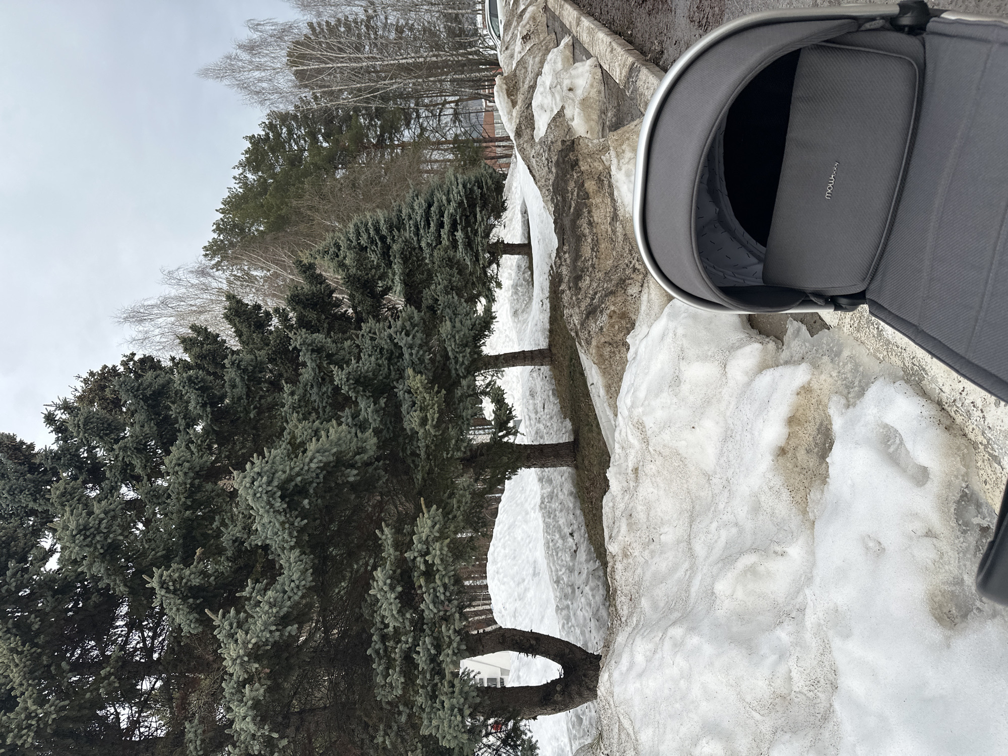 The image depicts an outdoor scene in Chaikovsky, Russia, characterized by melting snow under an overcast sky, indicating late winter or early spring conditions. In the immediate foreground, the upper section of a dark grey baby stroller is visible on the lower right, featuring the "mowbaby" brand logo on its headrest. The ground adjacent to the stroller consists of a dark, damp surface, possibly a path or road, bordered by a concrete curb. Beyond the curb, a substantial, uneven accumulation of dirty, melting snow forms a bank. Further into the midground and background, a park-like environment is present, dominated by several mature evergreen trees with blue-green needles. The ground beneath these trees is covered with melting snow, revealing patches of bare earth. In the far background, a dense line of trees, including both bare deciduous species and additional conifers, extends across the frame. A building with a reddish roof and a white vehicle are faintly visible through the distant trees. No people are discernible in the scene.