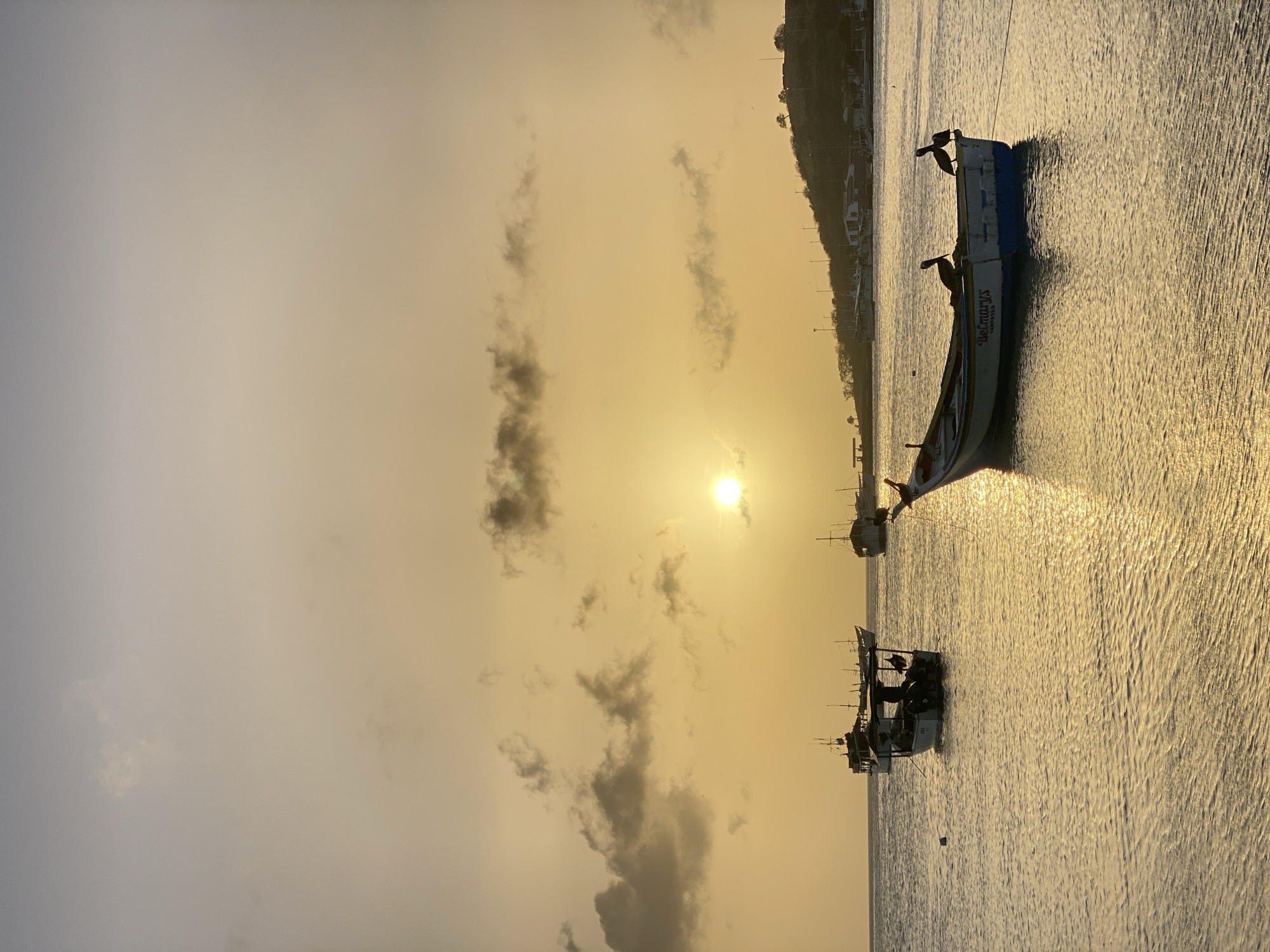 The image shows a sunset over the sea in Juan Griego, Venezuela. Several small fishing boats are silhouetted against the bright sunlight. The boats are typical of the local fishing fleet, with simple designs and open decks. The sea is calm, with a slight ripple on the surface, reflecting the golden light. A low-lying hill is on the horizon. Clouds are sparsely scattered in the sky.