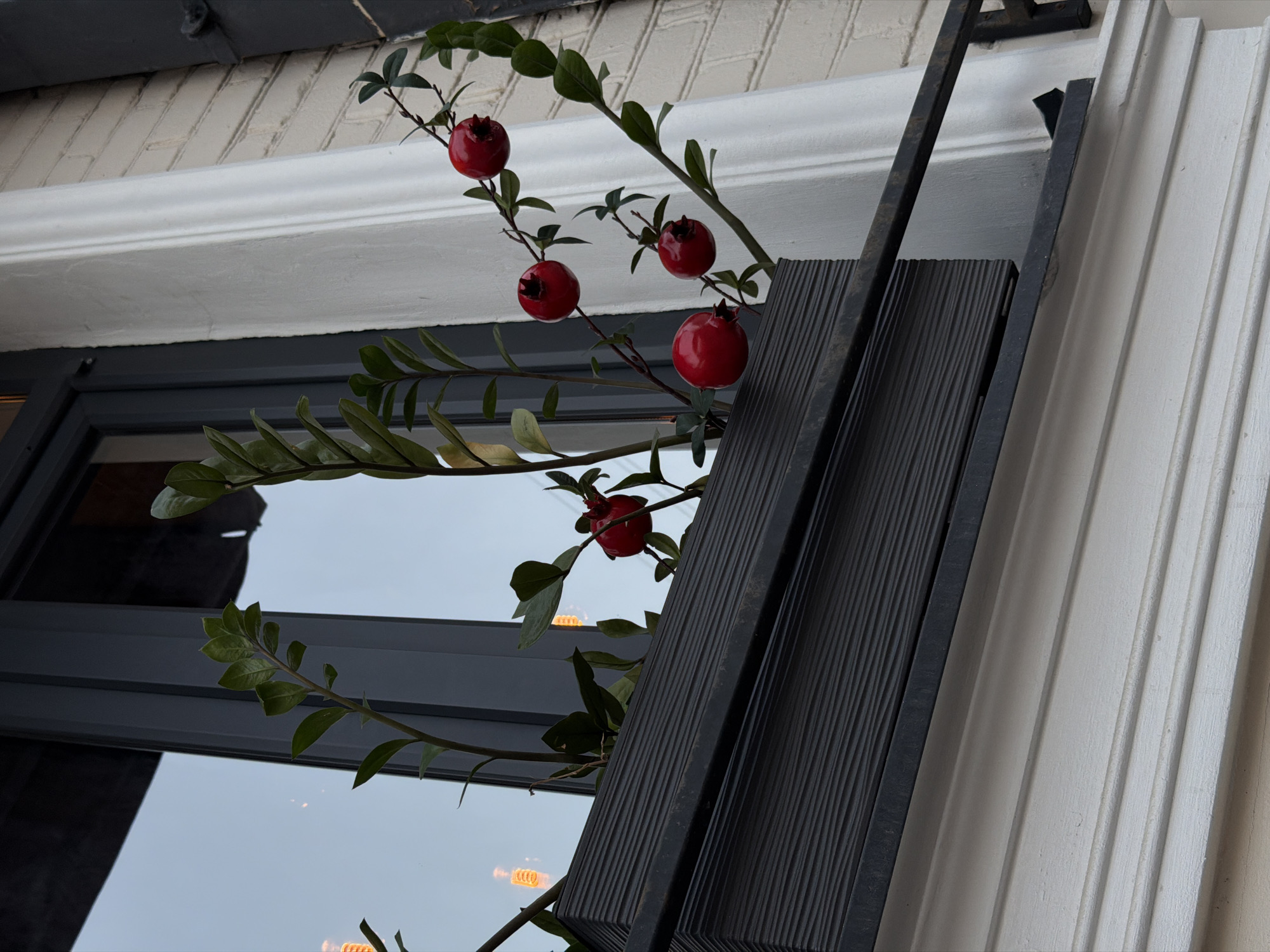 A window box containing green plants and decorative red berries is mounted on the exterior of a building. The window box is dark gray and has a textured surface. The plants have dark green, glossy leaves. The red berries are round and attached to thin branches, resembling small pomegranates. The window frame is dark gray, and the building exterior is white brick. The scene appears to be an outdoor urban environment. There is no indication of the specific location within Saratov, Russia.
