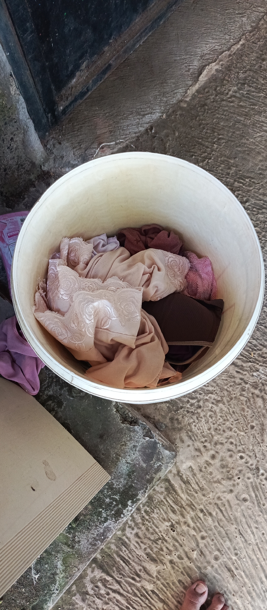 A high-angle shot shows a collection of light-colored, mixed textiles, including a lace-trimmed brassiere, within a white bucket. The bucket rests on a concrete ground that exhibits patches of dark, mossy growth. To the left of the bucket, a piece of tan, ribbed material is visible, as well as a partial view of a pink and white box with text. The background consists of dark, textured concrete and what appears to be a dark metal edge. A portion of two toes are visible in the lower right corner of the image, suggesting a person is present near the scene. The environment appears to be outdoors, possibly in a less-maintained area of a residential yard in Arjasa, Indonesia, given the presence of moss and rough concrete.