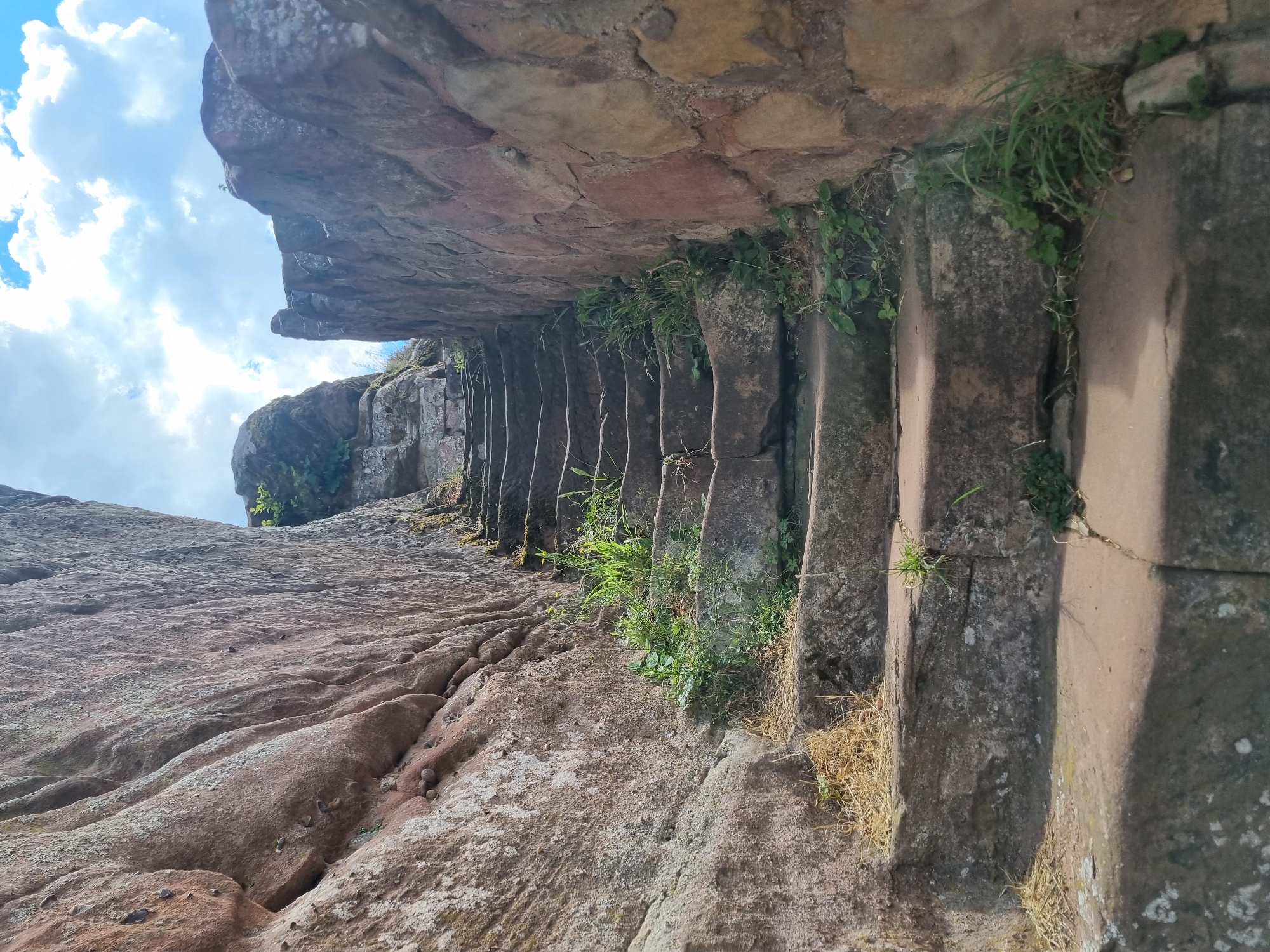 This is a low-angle, outdoor, eye-level shot of ancient stone stairs carved into a rocky cliff face. The stone is weathered and uneven, with various shades of brown and gray. Vegetation, including grass and small plants, grows in the cracks and crevices of the stairs and surrounding rock. The stairs are narrow and appear to be quite old, possibly man-made, leading upwards into an overhang.
To the left of the stairs, the rocky surface of the cliff slopes upwards and away, showing distinct erosion patterns and a reddish-brown hue. Above and to the left, a bright blue sky with fluffy white clouds is visible, suggesting daytime. The lighting indicates it is likely daytime, possibly morning or afternoon, with sunlight casting some shadows on the stone.
The scene evokes a sense of history and a connection to nature. The stairs are an object of interest within the natural setting of the cliff. There are no people or text visible in the image. The location context is Dahn, Germany, which is known for its sandstone rock formations and hiking trails. This image captures a sense of exploration and the enduring nature of ancient structures against a backdrop of natural beauty.