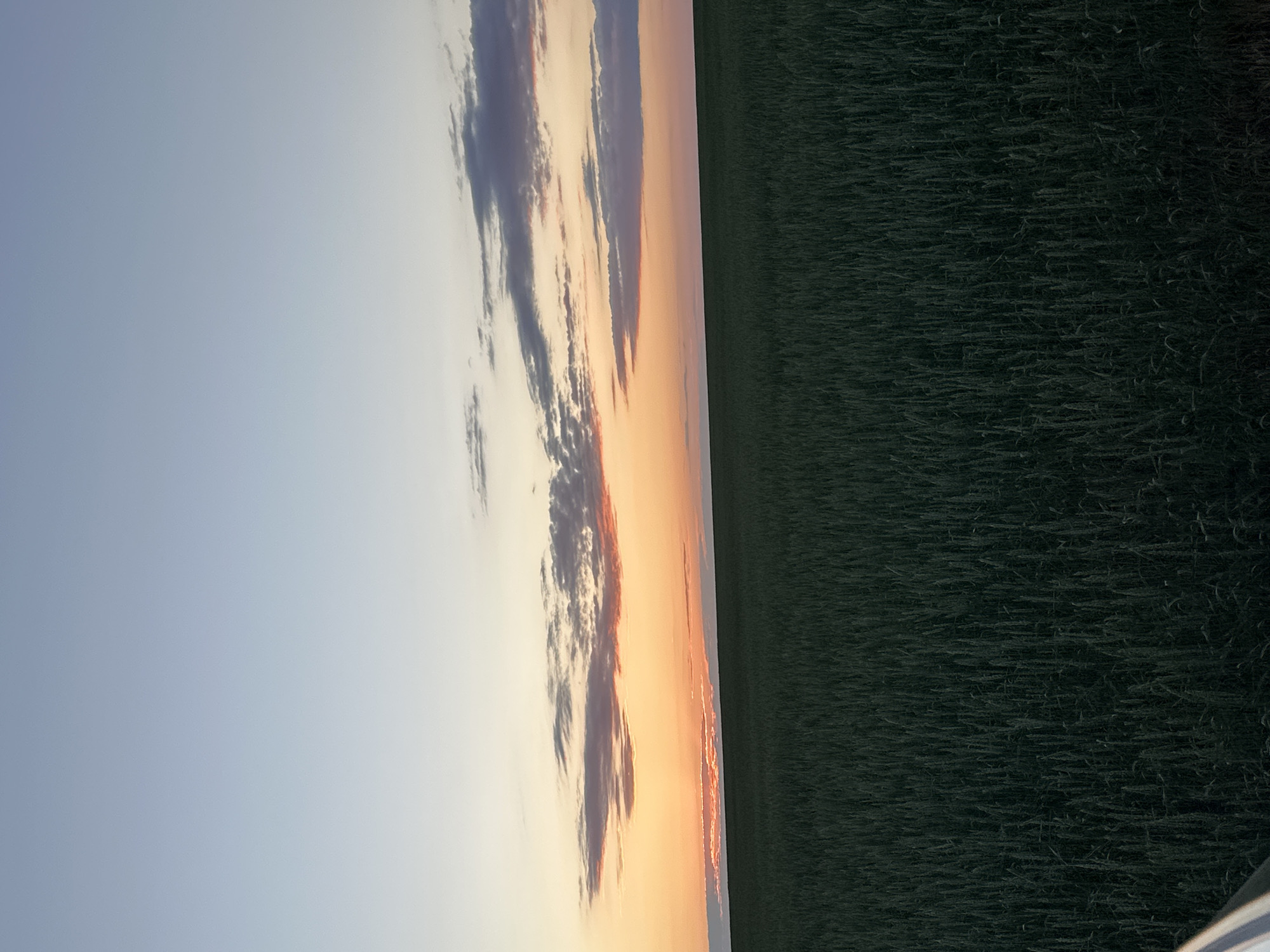 A wide, horizontal shot depicts a field of dark green crops under a twilight sky. The crops, appearing to be wheat or a similar grain, fill the lower two-thirds of the frame, appearing dense and textured. The horizon line is clearly defined, separating the field from the sky. The sky occupies the upper third of the image and displays a gradient of colors. The lowest part of the sky is a vibrant orange, transitioning into a soft pink and then a pale blue towards the top. Thin, elongated clouds are visible in the sky, colored by the sunset's light in shades of pink, orange, and gray. A small portion of a white vehicle is visible in the bottom left corner of the frame. The scene is characteristic of a rural landscape in the city of Zhaksy, Kazakhstan, during the evening hours.
