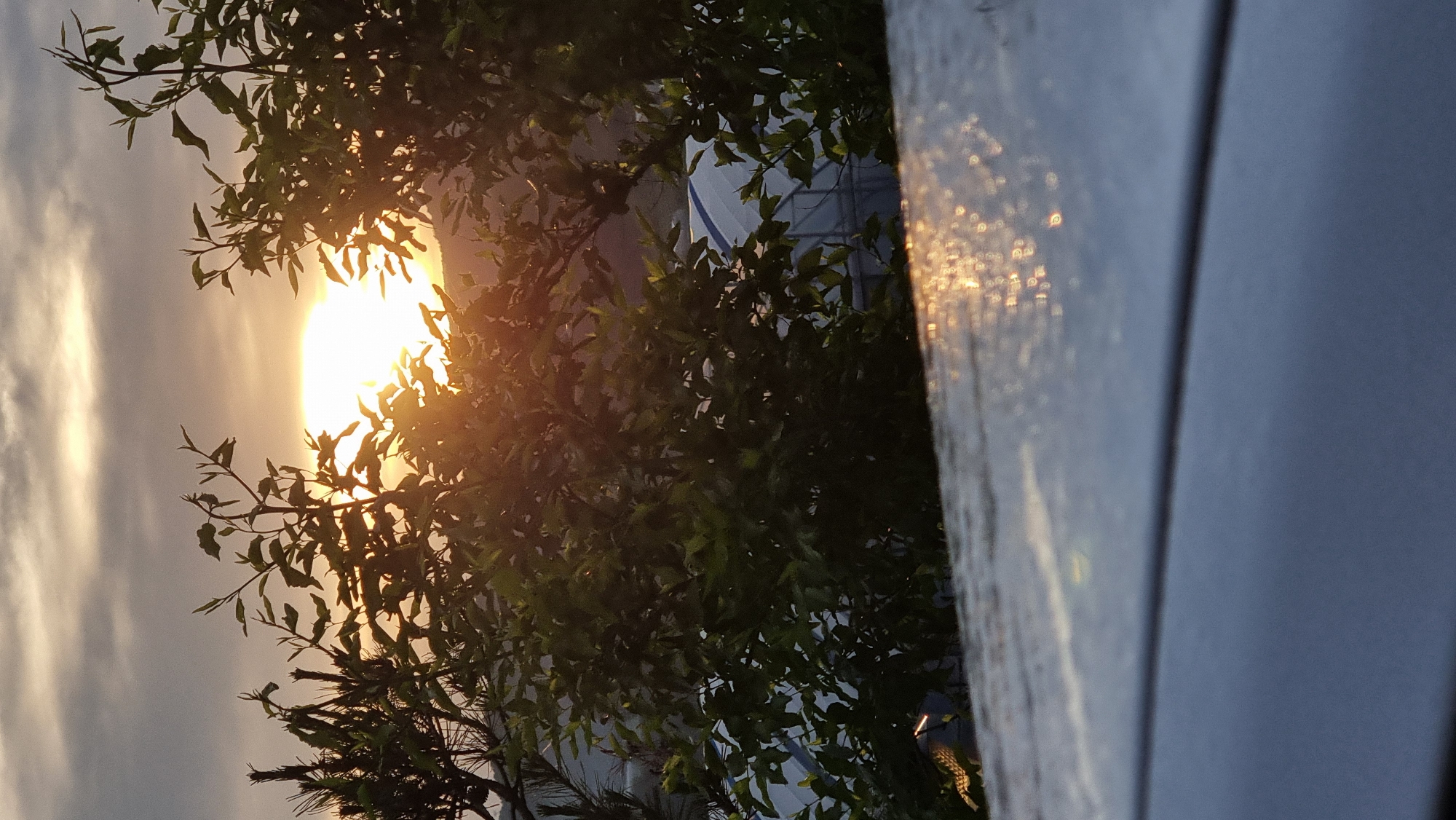 The image captures a sunset partially obscured by tree branches. The sun is bright and emits a strong orange glow. Through the gaps in the foliage, glimpses of a light-colored building can be seen in the background. The building is presumably located in the city of Dunnae-myeon, South Korea. A window is visible on the right side, reflecting the sunlight.