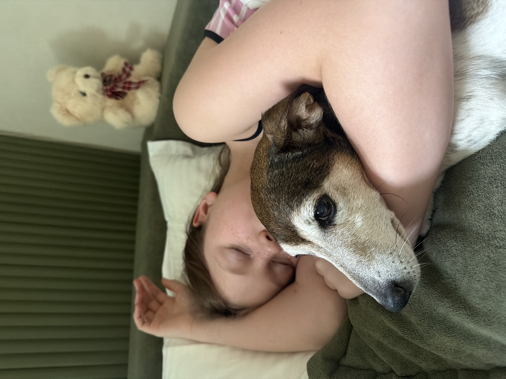A woman is lying down, asleep on a white pillow with a teddy bear behind her, on a green sofa. The woman is hugging a dog. The location cannot be determined.