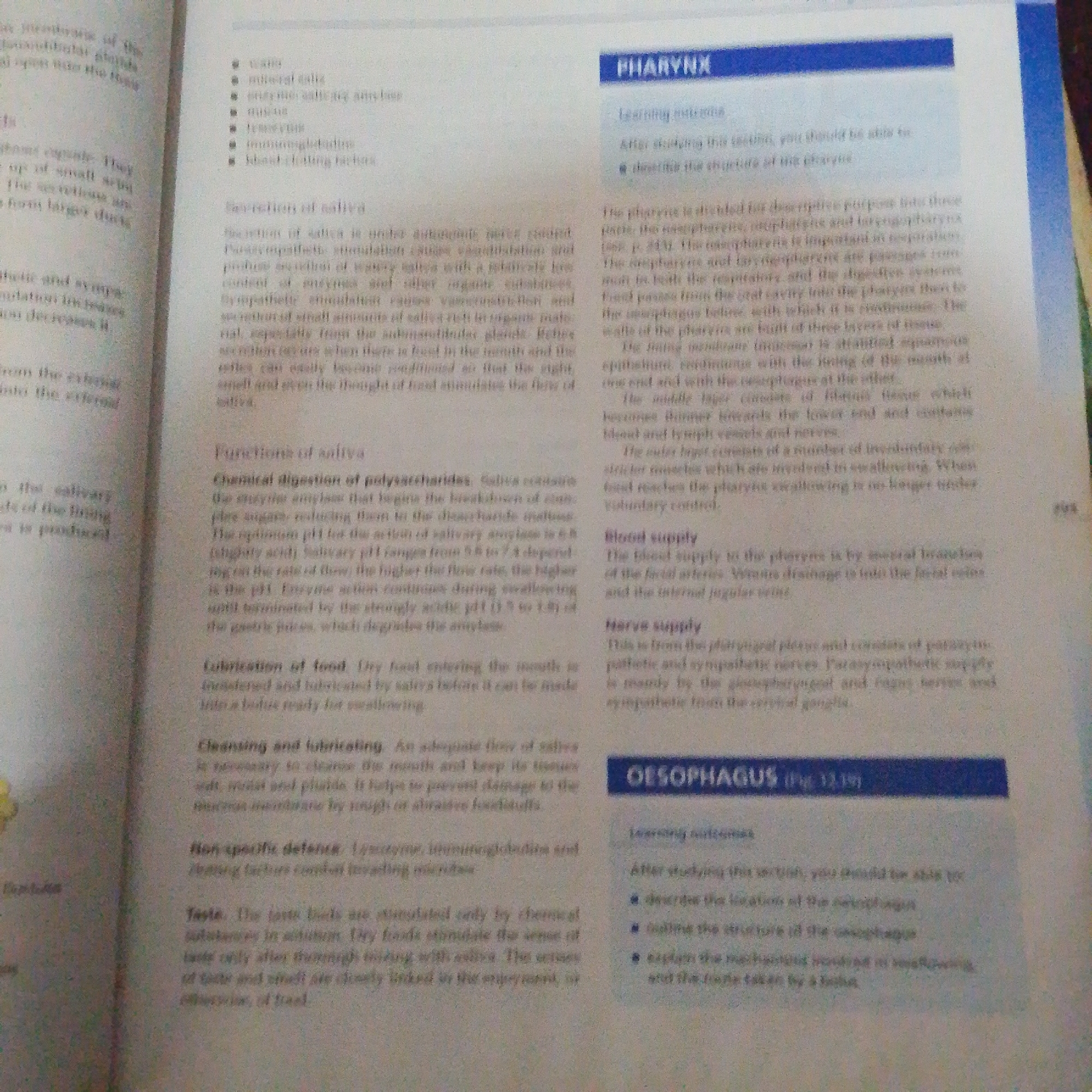 The image shows two pages of an open textbook. The left page has headings such as "secretion of saliva", "functions of saliva", "chemical digestion of polysaccharides", "lubrication of food", "cleansing and lubricating", "non-specific defence", and "taste". The right page has headings such as "PHARYNX", "Learning outcomes", "Blood supply", "Nerve supply", and "OESOPHAGUS". The text discusses biological functions and anatomy. There is no information in the image that relates to Jalingo, Nigeria.
