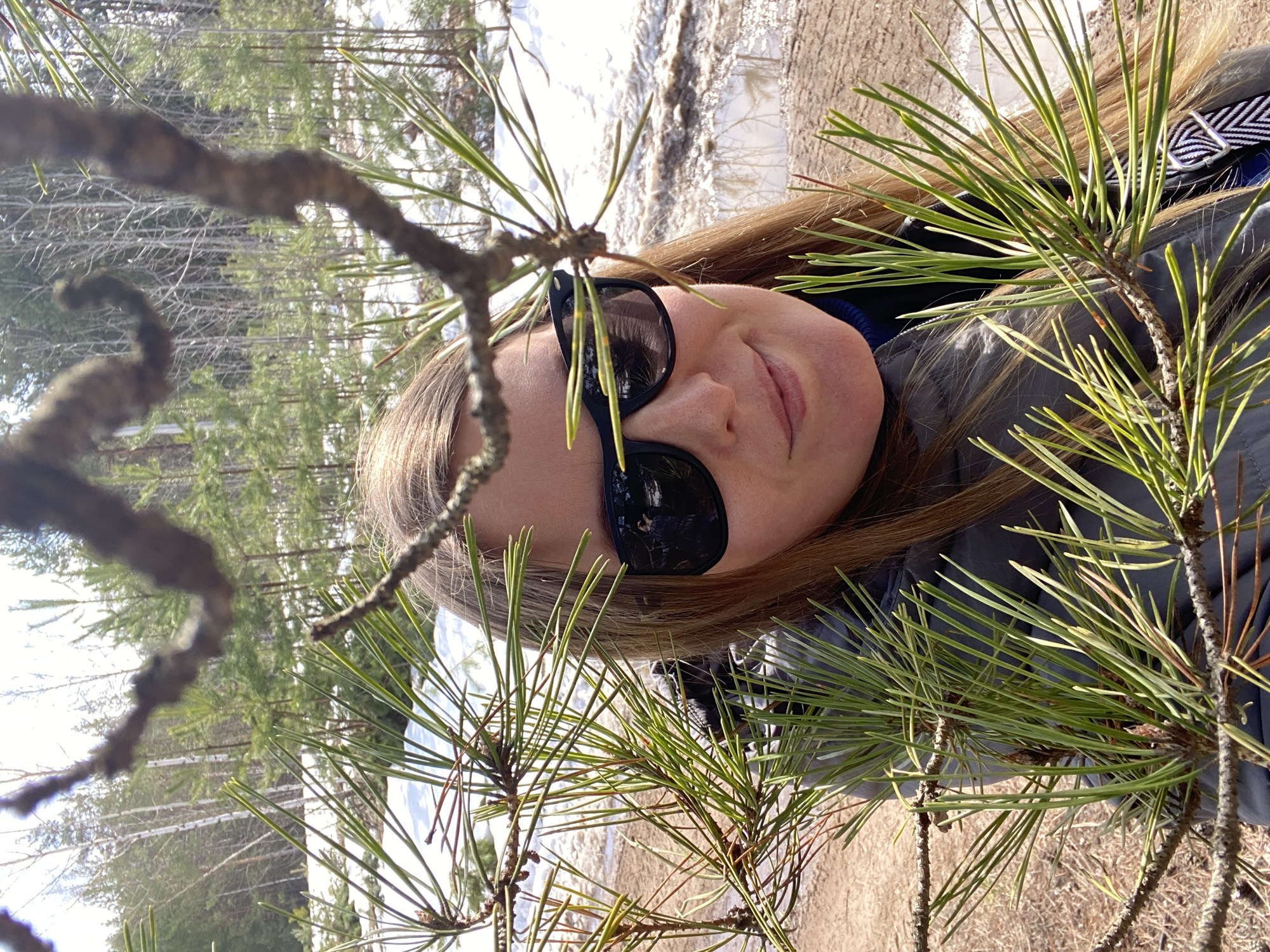 A woman wearing sunglasses is partially obscured by pine branches in an outdoor setting. Some snow is present on the ground. The background features more trees. Location: Noviy, Russia.