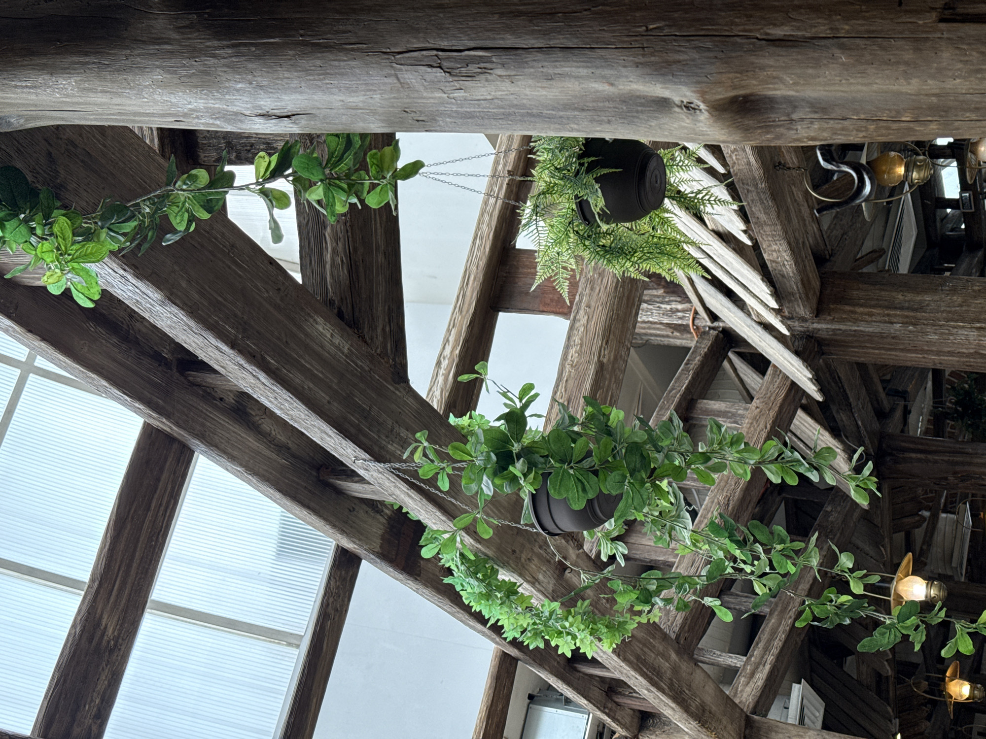An indoor scene within Khachapuri Restaurant in Moscow, Russia, viewed upwards towards a rustic ceiling structure. The overhead framework consists of intersecting, dark brown, rough-hewn wooden beams and a prominent vertical wooden pillar on the right. A multi-paneled skylight, composed of translucent, ribbed material, occupies the upper section, providing diffused natural light. Multiple artificial green plants are integrated into the decor: two dark pots containing faux foliage (one fern-like, one broad-leafed vine) are suspended by chains from the beams. Additionally, numerous strands of broad-leafed green garlands are draped across the wooden framework. Two amber-toned pendant lights, resembling traditional lanterns with metal fixtures, are suspended from the beams in the lower frame, one featuring a dark, curved metal element above it. White wall sections and an air vent are visible in the background.