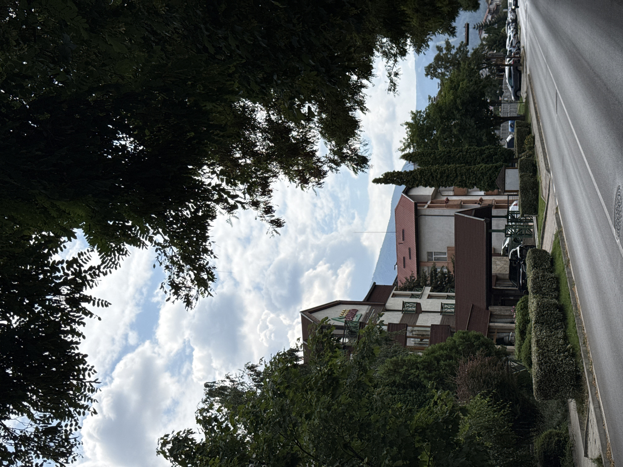 The image shows a street scene in Bansko, Bulgaria, with a focus on a hotel and surrounding foliage. A multi-story hotel with a prominent sign reading "HOTEL BANSKO" is visible on the left side of the street, partially obscured by trees. The hotel features balconies with dark green railings and a reddish-brown roof. Adjacent to the hotel, there is a covered entrance area.
The street itself is paved and appears to be a two-lane road. Cars are parked along the right side of the street. The foreground shows a well-maintained sidewalk with a line of manicured hedges. The background is dominated by trees and a mountain range under a cloudy sky. The foliage in the foreground is dense and green, suggesting a temperate climate. The overall impression is a quiet, slightly overcast day in a town nestled among mountains. There are no people visible in the frame.