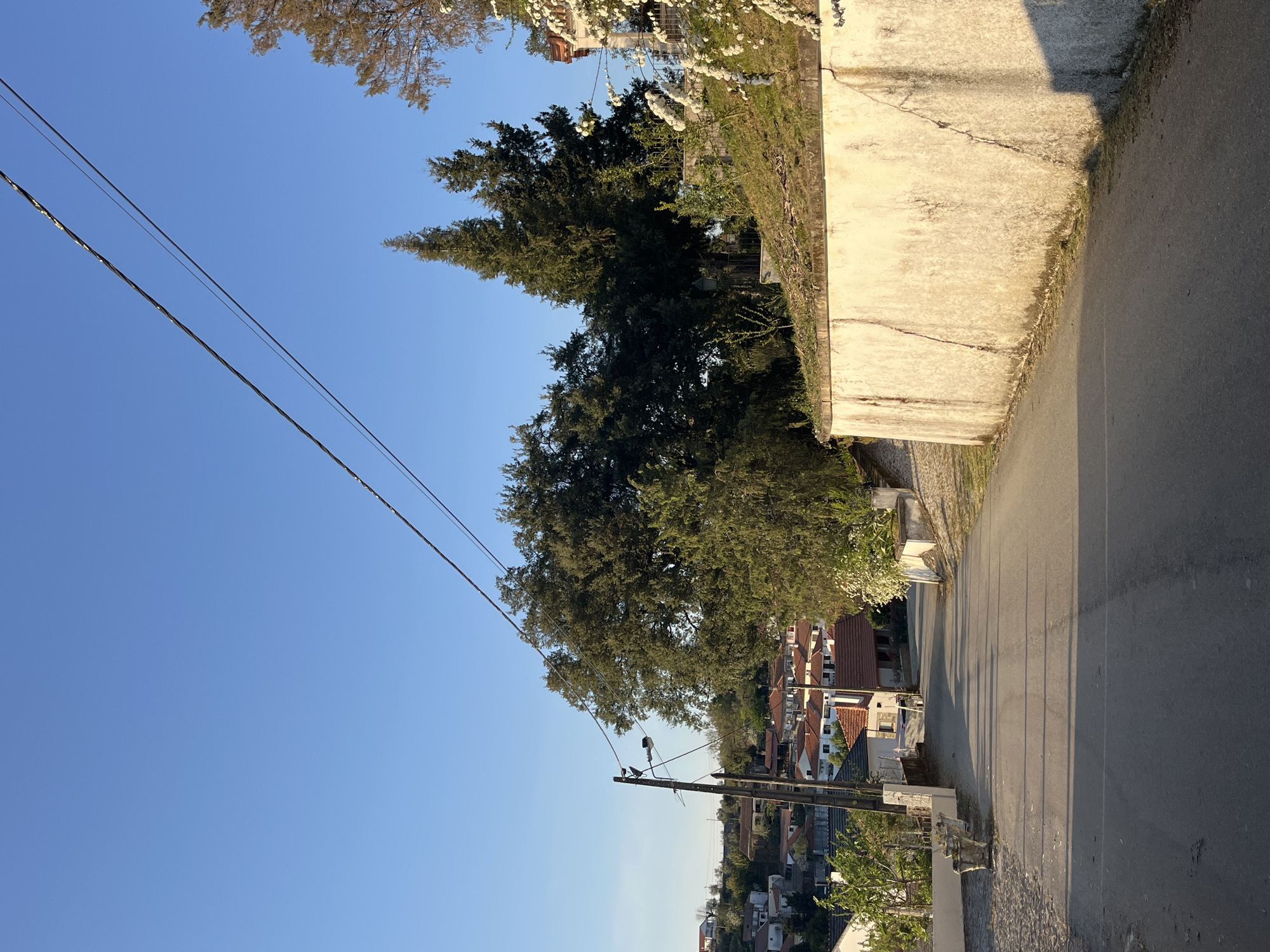 A slightly angled view of a street in Vila Real, Portugal, with a concrete retaining wall on the right, an asphalt road, power lines overhead, and trees and houses visible to the left. The sky is clear and blue. The scene suggests a residential area, possibly on the outskirts of the city. There are no people visible in the image. The environment is typical for a sunny day in a European city.
