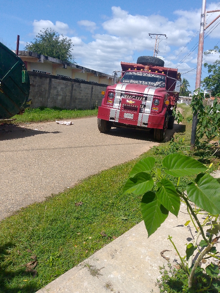 A red and white striped Chevrolet truck is parked on the side of a paved road. The truck has writing on the windshield and a spare tire on top. A building with a tall concrete wall is visible on the left, with greenery and a patch of grass along the roadside. A plant with large green leaves stands out in the foreground. The sky is blue with scattered clouds.