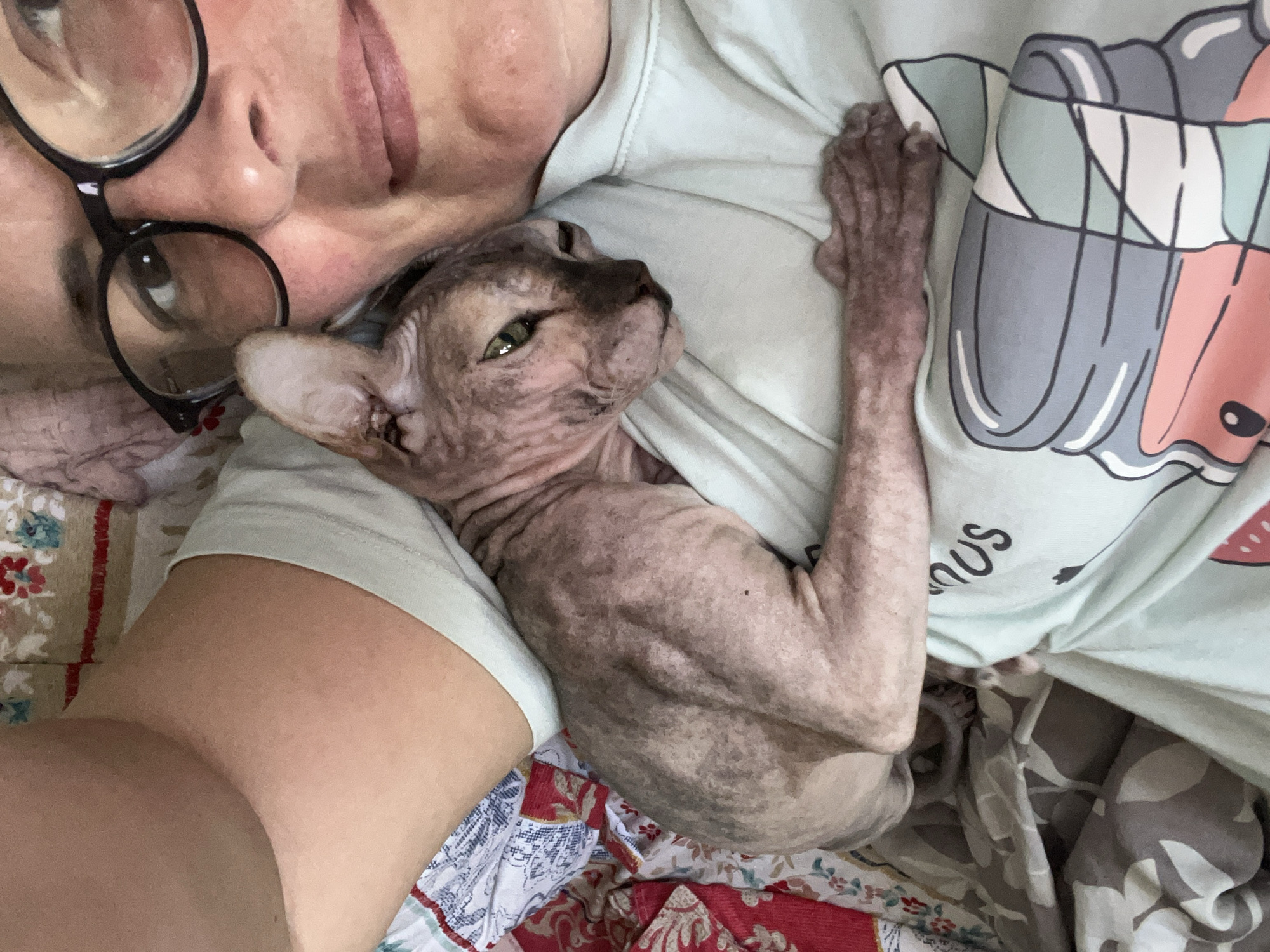 The image shows a close-up overhead shot of a person holding a Sphynx cat. The person, wearing glasses, is lying down, and the cat is nestled against their chest. The cat is predominantly pinkish-brown with darker markings and has green eyes. The person is wearing a light blue t-shirt with a graphic design on it. The background consists of bedding with a floral pattern and some grey and white patterned fabric. There is no information in the image to suggest the location is in the city of Korolyov, Russia.