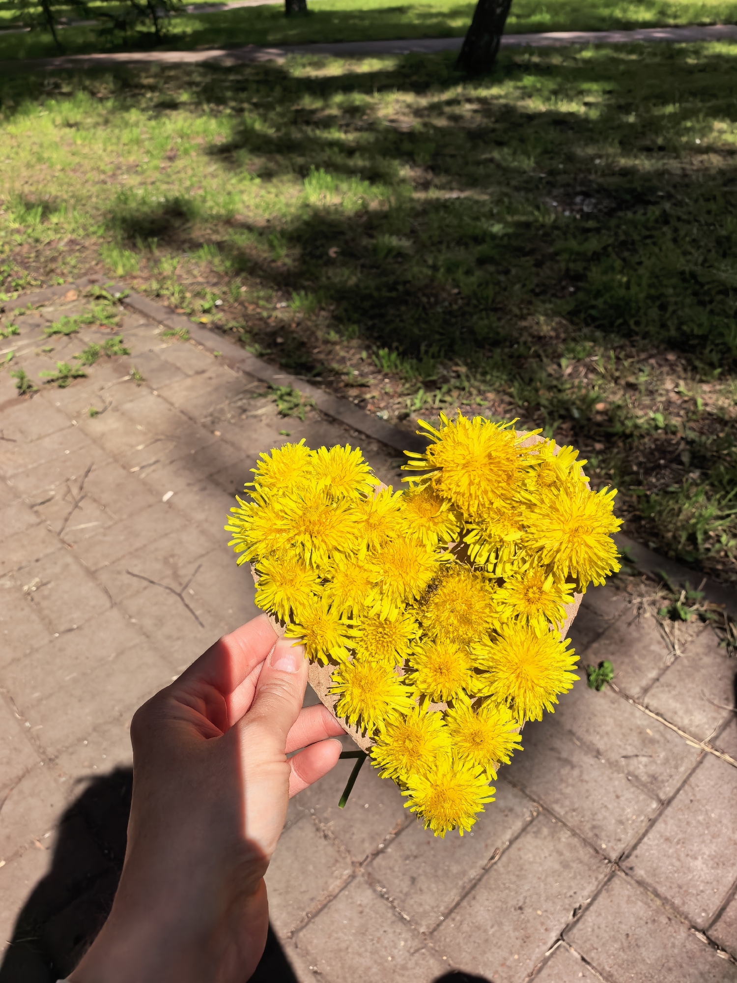 A hand is holding a heart-shaped arrangement of yellow dandelions over a paved walkway in a park. The walkway is made of rectangular stone pavers and is partially covered in dry leaves and grass. Beyond the walkway, there is a grassy area with dappled sunlight filtering through trees. The overall scene suggests a casual outdoor setting, possibly a park in Sterlitamak, Russia, given the prompt's context.