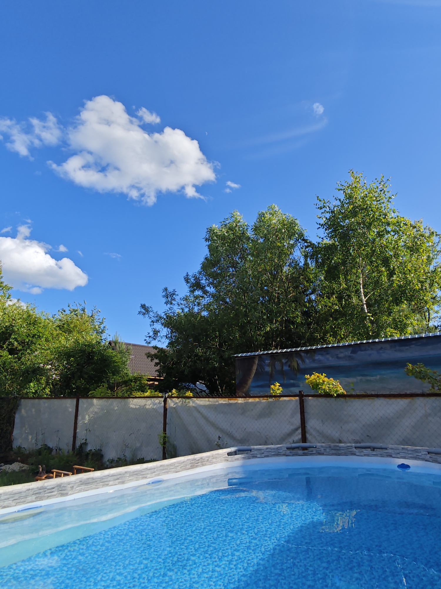 The image depicts a bright, sunny day with a clear blue sky scattered with fluffy white clouds. In the foreground, a portion of a blue swimming pool is visible, its tiled bottom shimmering through the clear water. The edge of the pool is lined with white, textured material.
Behind the pool, a fence separates the yard from the surrounding area. The fence is constructed of concrete blocks and wire mesh. Mounted on the fence is a colorful mural depicting a tropical beach scene with palm trees and a body of water. Above the fence, lush green trees and foliage are abundant, suggesting a suburban or rural setting.
A brown-tiled roof of a house is partially visible through the trees. The environment appears to be a private backyard, likely in a residential area. The overall atmosphere is one of leisure and relaxation on a warm, summer day. The location is specified as Khlevino, Russia.