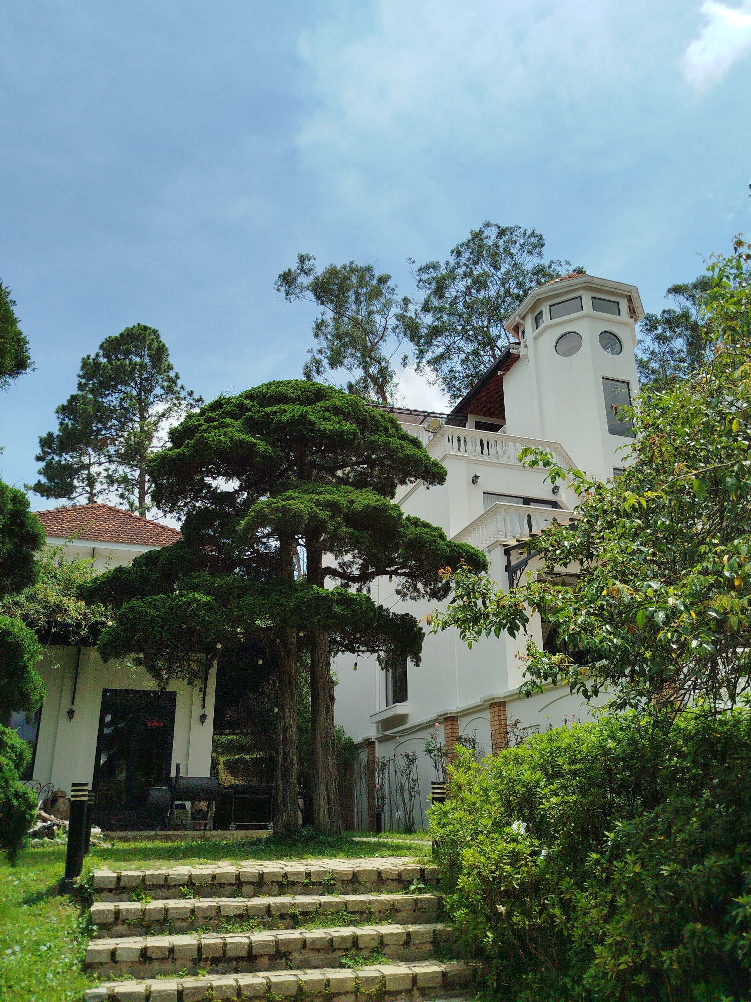 In Da Lat, Vietnam, a white building with a unique tower is pictured on a sunny day. The tower has circular windows and a hexagonal roof. In front of the building is a tiered staircase made of stone blocks, overgrown with moss and small plants. To the left of the stairs, a manicured bonsai tree stands tall. The scene is surrounded by lush green trees and foliage, with a clear blue sky overhead. The building appears to be a house or a restaurant.