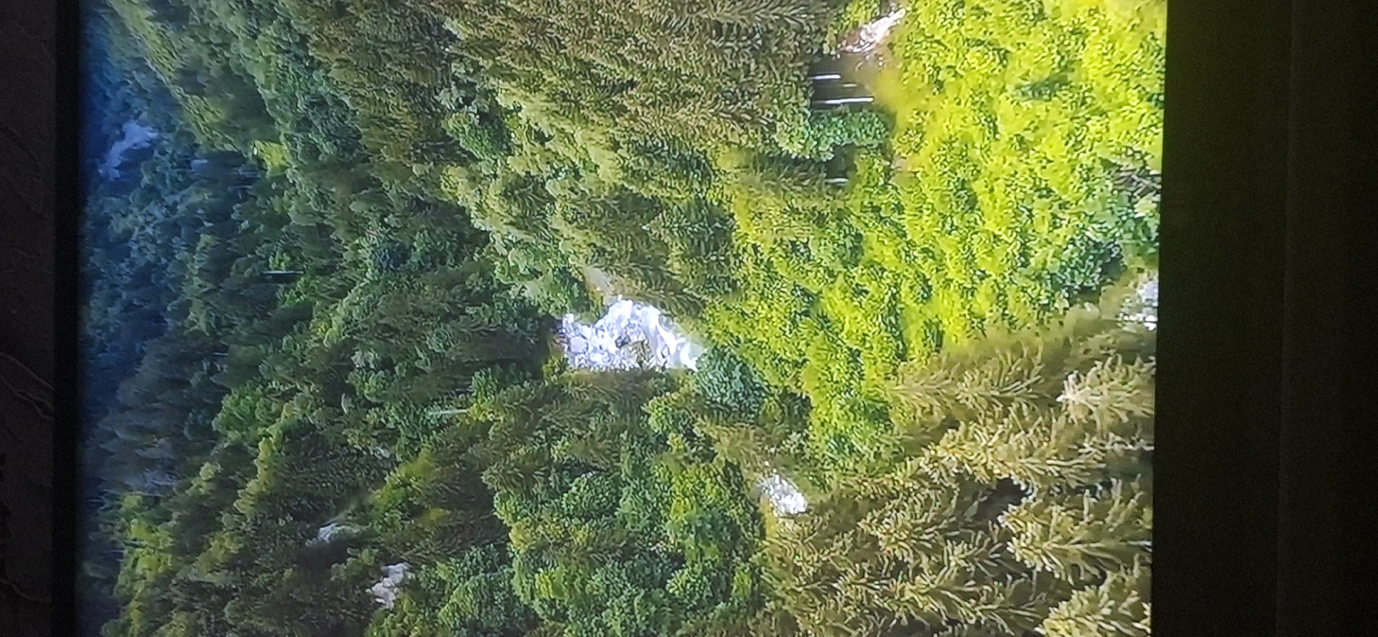 The image displays an aerial view of a lush, densely forested mountain valley. A winding river with white, foamy water cuts through the center of the valley. The slopes are covered in a variety of trees, predominantly evergreens with some deciduous trees mixed in, creating a rich tapestry of green hues. The terrain appears steep and rugged, with some rocky outcrops visible. The lighting suggests it is daytime, with sunlight filtering through the trees, creating patches of light and shadow. There is no visible human activity or man-made structures within the depicted natural landscape. The location is not in the city of Bila Tserkva, Ukraine, but rather a remote, mountainous natural environment.
