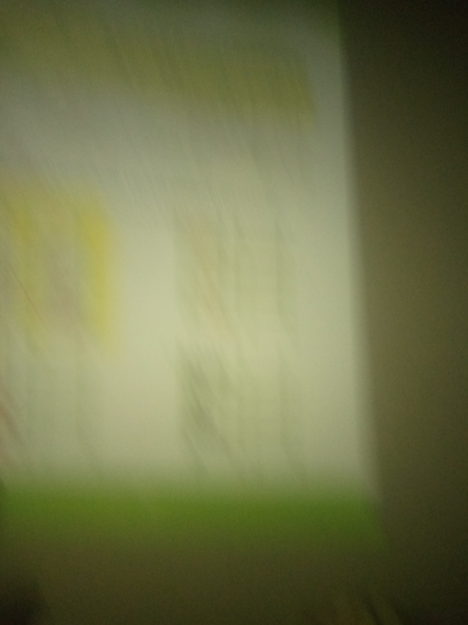 The image is heavily blurred and out of focus, making it impossible to discern any specific details about people, subjects, objects, or actions. The scene appears to be an indoor environment with a projected image or screen visible, characterized by soft, indistinct shapes and colors, primarily in shades of green and yellow. The lighting is dim and uneven, creating a gradient of light and shadow across the frame. Due to the lack of clarity, it is not possible to provide any forensic or matter-of-fact description of a scene in Jauro Yinu, Nigeria, or any other location.