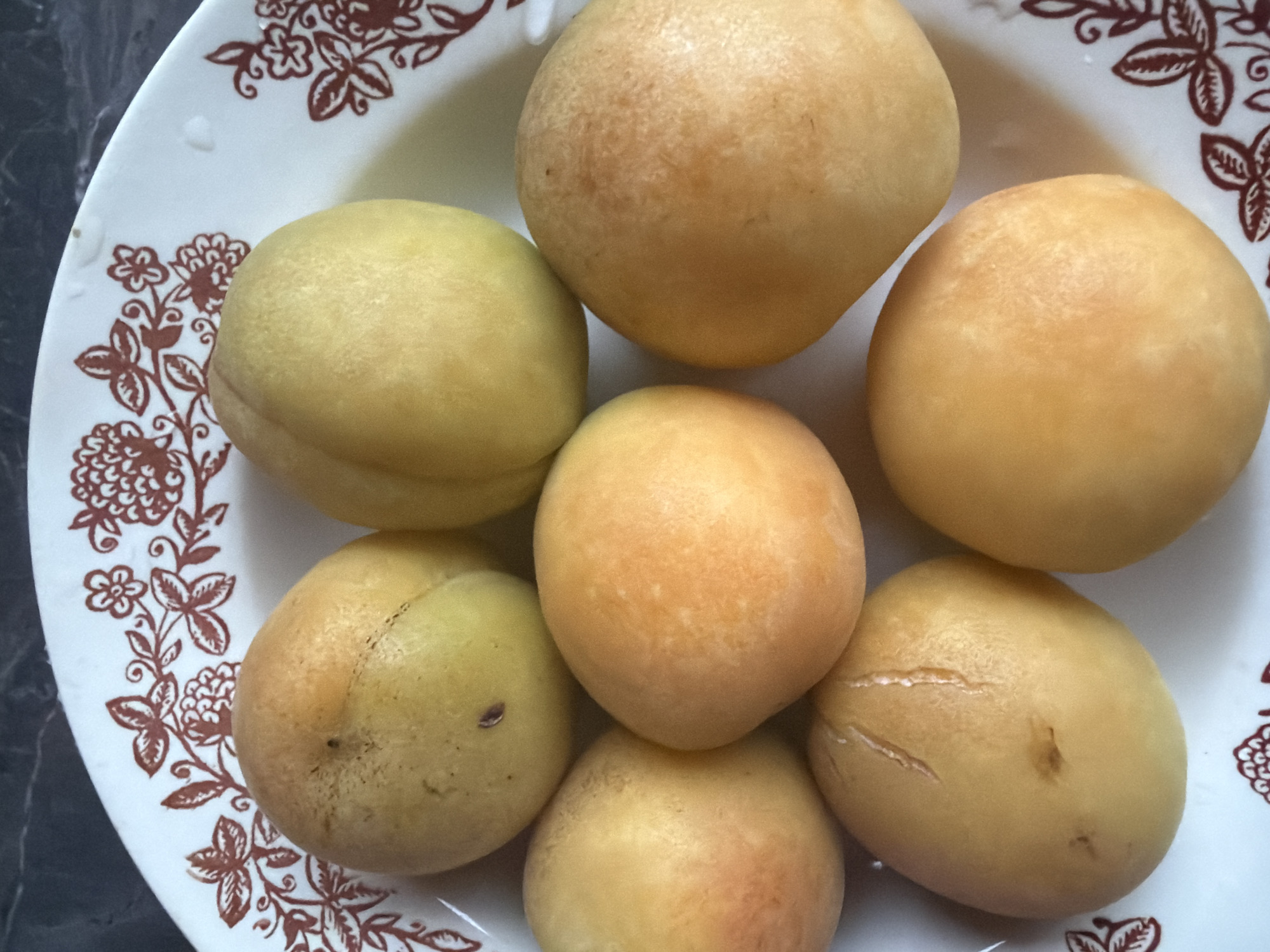 Seven apricots are arranged on a white plate with a red floral pattern. The plate rests on a dark, speckled surface, likely a countertop. The apricots vary in color from pale yellow to a warmer orange, with some showing slight blemishes or indentations. The lighting suggests an indoor setting. This scene is not identifiable as being in Borjomi, Georgia.