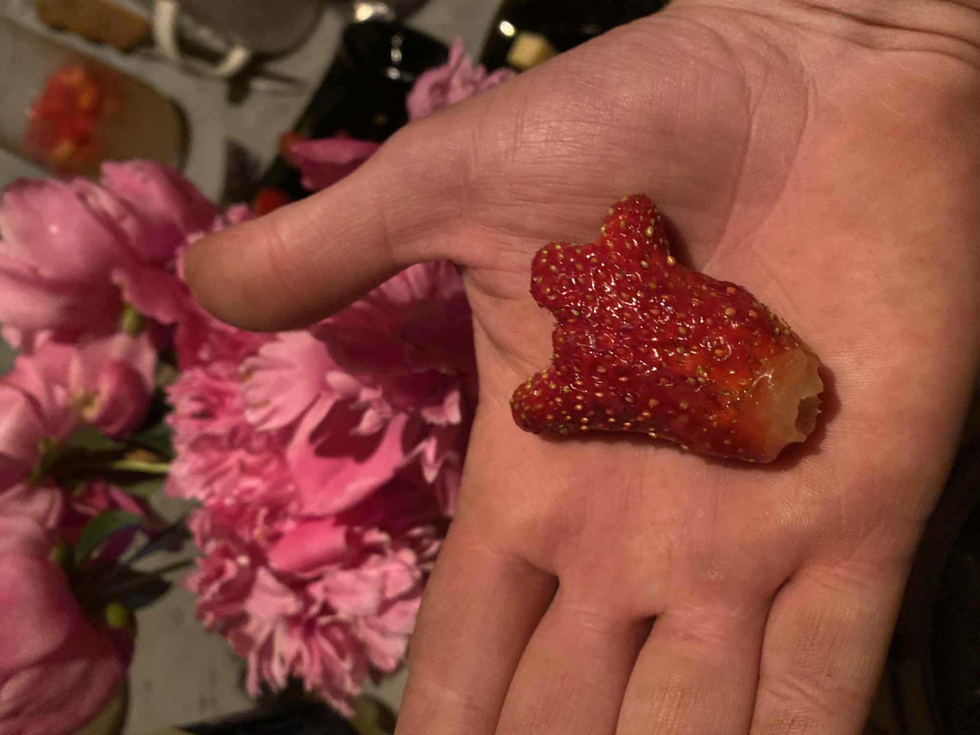 A person's open palm holds a deformed strawberry with multiple lobes. In the background, out of focus, are pink peonies and what appear to be glass containers with red and yellow contents. The scene is dimly lit.