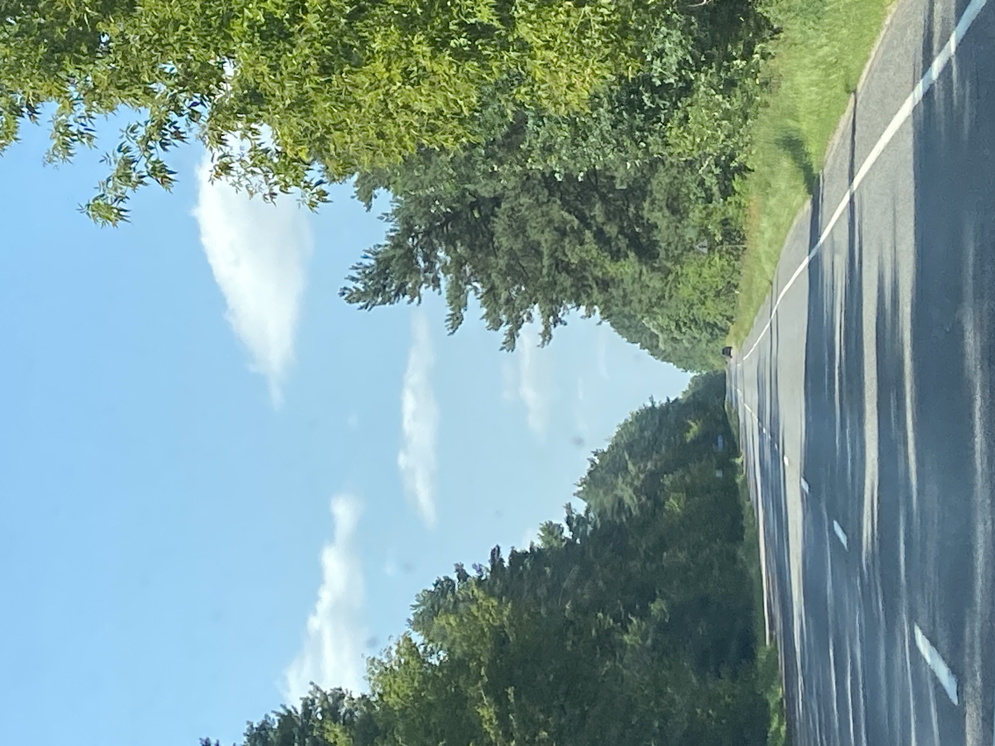 The image captures a straight asphalt road cutting through a dense forest in Матыкальскі сельскі Савет, Belarus. The sky is a clear blue with scattered white clouds. On either side of the road, tall green trees form a canopy, with the foliage varying in shade and density, suggesting a mix of deciduous and coniferous species. The road is marked with white lines, indicating lanes of travel. In the distance, a single dark-colored vehicle is visible on the road, moving away from the camera. The overall scene evokes a sense of journey and the tranquility of a natural landscape.