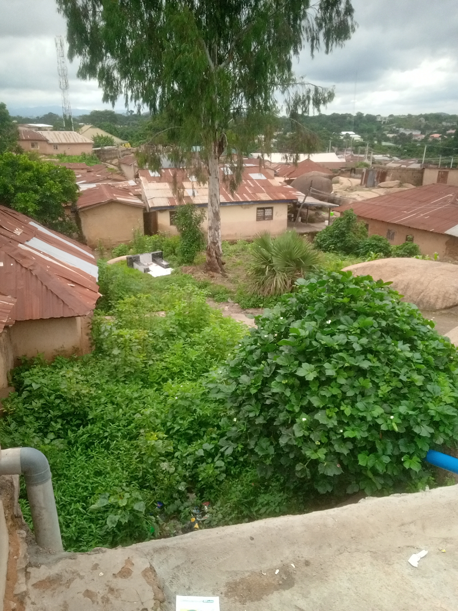 An exterior, medium-shot captures a view looking down onto a cluster of traditional buildings in a neighborhood in Jos, Nigeria. The structures are primarily single-story and constructed with earthen walls, topped with corrugated metal roofs. Overgrown green vegetation, including lush bushes and trees, encroaches on the buildings and surrounds the area, indicating a somewhat untamed environment. A large, leafy green bush dominates the foreground on the right side of the image, obscuring a portion of the view of the settlement. In the mid-ground, a tall, slender tree with sparse leaves stands prominently, with a few more buildings and a large, rounded rock formation visible behind it. In the distance, a telecommunications tower can be seen rising above the tree line. The sky is overcast, suggesting a cloudy day. The scene appears to be residential and somewhat rustic, with elements of natural overgrowth integrated into the urban landscape.