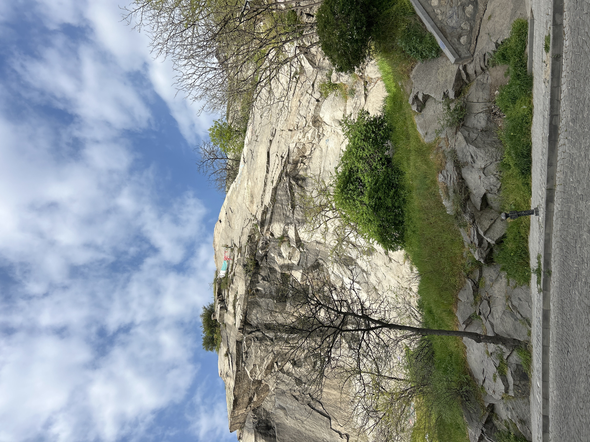 The image shows a large rock formation in Plovdiv, Bulgaria, with a sheer cliff face. The rock is light gray with vertical striations. Trees and bushes grow on top of and along the side of the rock. A paved path runs along the bottom right corner of the image. The sky is blue with white, wispy clouds. A bare tree stands in front of the rock face. There is an indiscernible tag hanging from the top of the cliff.