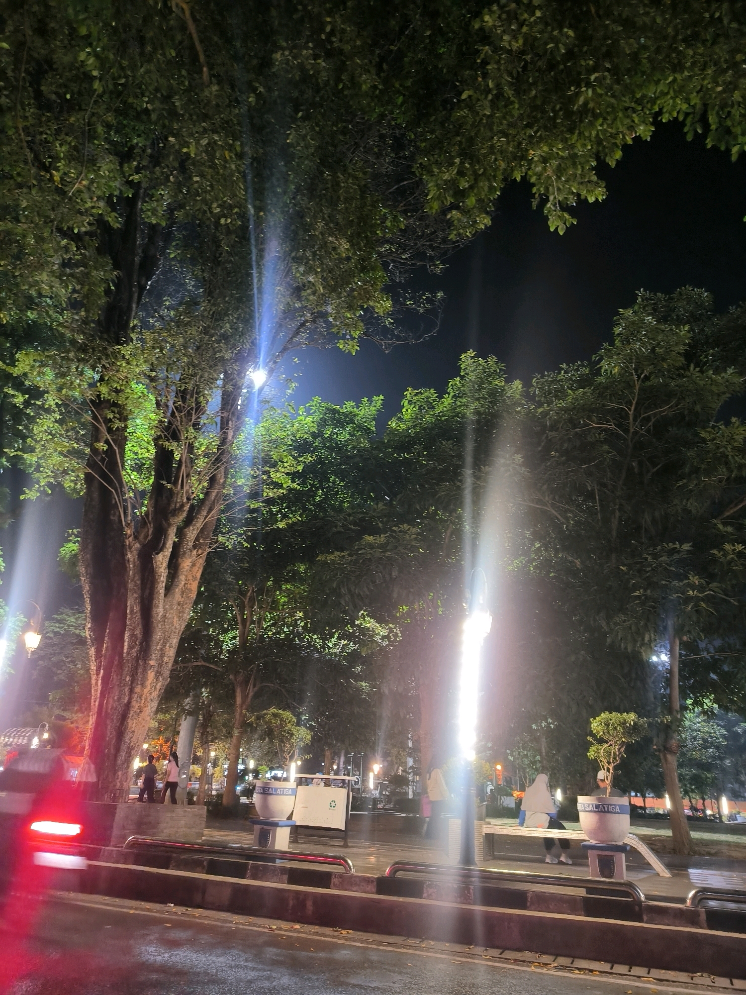 The image depicts a nighttime scene in a park or public square in Salatiga, Indonesia. Dominating the foreground is a large tree with a rough, textured trunk. In the midground, there are streetlights, benches, and people. Two individuals are seated on a bench, one wearing a hijab. Another person, also in a hijab, is standing nearby. In the background, there are more trees and lights, suggesting an urban environment. A traffic light and a trash receptacle are also visible. The lighting is dramatic, with bright beams from the streetlights cutting through the darkness and illuminating the foliage. The overall impression is one of a serene, yet lively, evening in a public space.