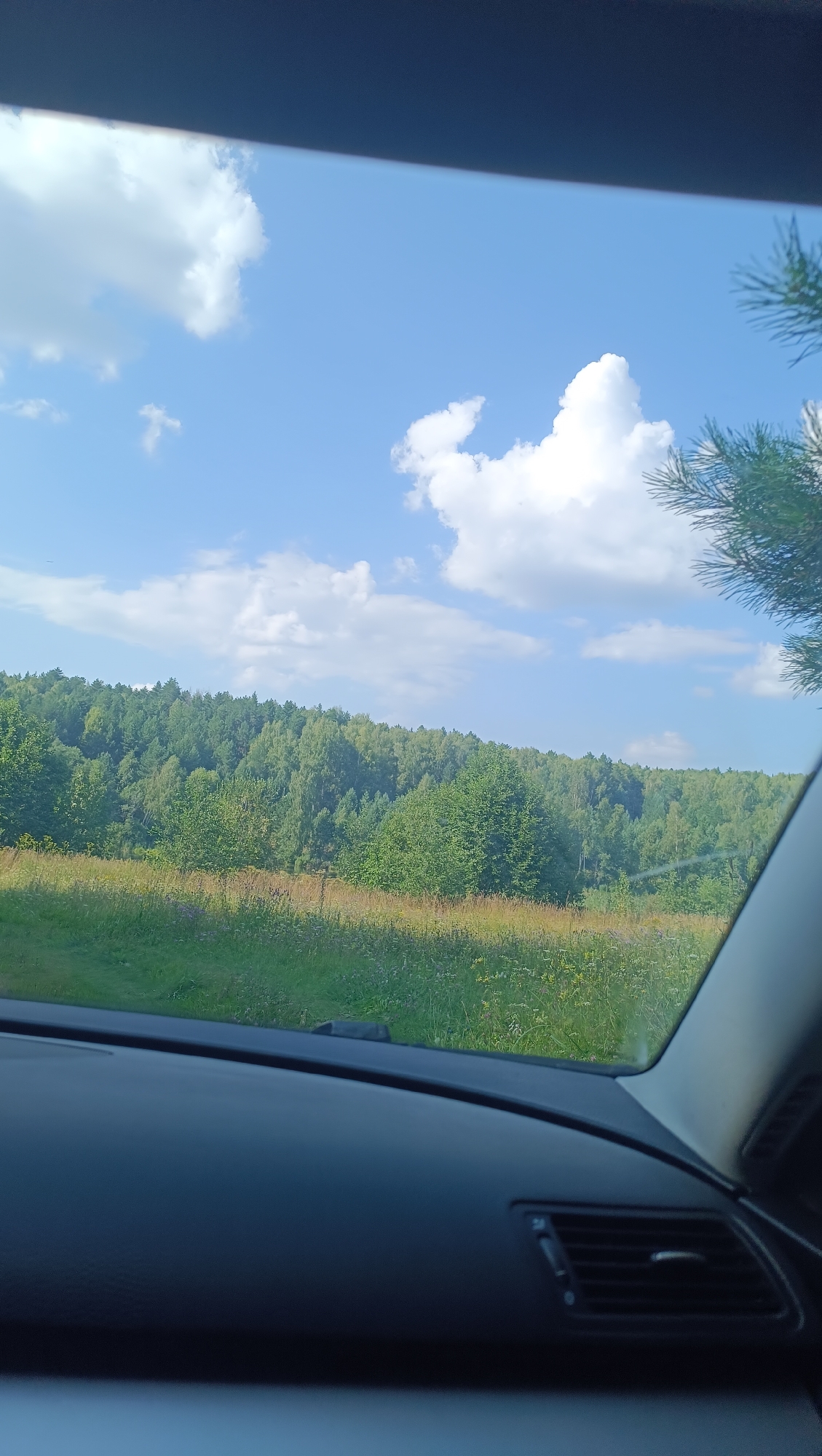 The image shows a view from inside a car, looking out at a landscape. The foreground is dominated by the dark dashboard of the car, with a vent visible on the right side. Beyond the dashboard, through the windshield, is a scene of rolling green hills covered in dense forest. The trees are a mix of various shades of green, indicating a variety of species and possibly different stages of growth. In front of the forest is a field of tall grass and wildflowers, with hints of yellow and purple hues. The sky above is a clear, bright blue, dotted with fluffy white clouds. A few pine needles are visible in the upper right corner, suggesting the car may be parked or driving near a coniferous forest. The overall impression is a serene, natural setting on a sunny day. The location in the city of Karsha, Russia is not discernible from the visual elements of the image.