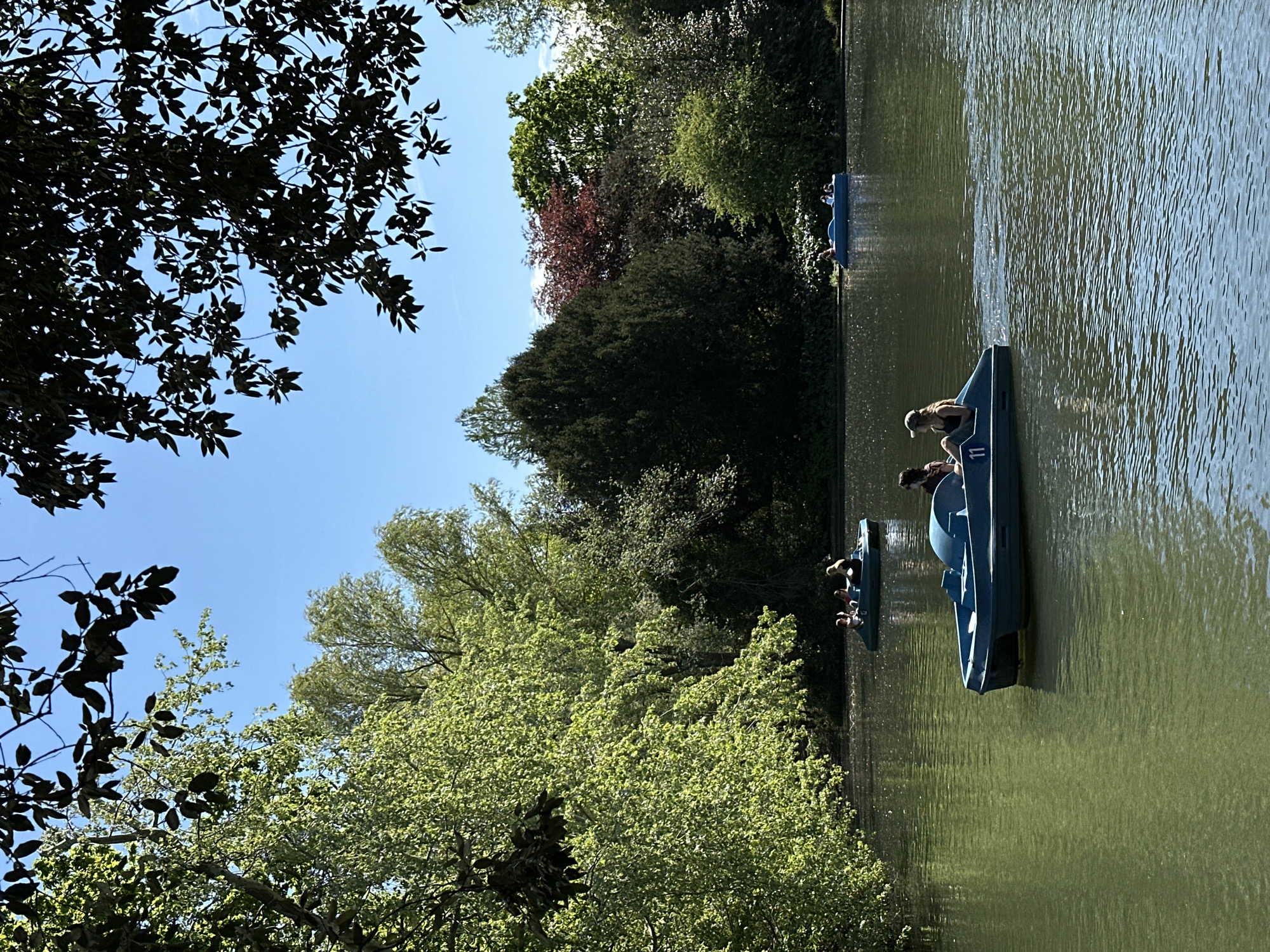 The image shows a lake with several blue pedal boats. Two of the boats are occupied by people; one has a woman wearing a cap, with another person partially visible. The water is calm and reflects the surrounding greenery. Trees line the banks of the lake, and the sky is partially visible through the leaves. The location is likely in a park in the city of London, United Kingdom.