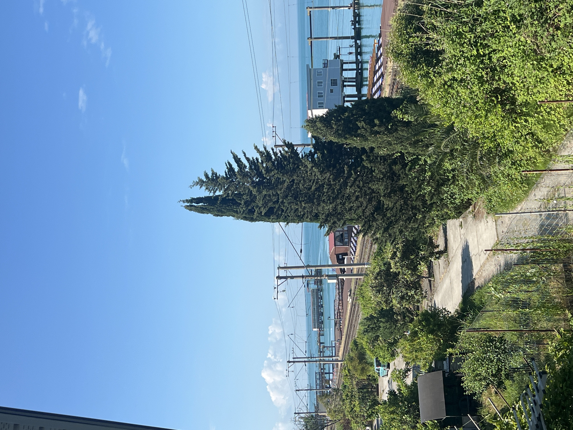 The image depicts a coastal landscape with a clear blue sky and tranquil turquoise water. A railway line runs parallel to the coast, with overhead electrical wires supported by poles. In the foreground, lush green foliage and trees dominate, with a small, dark shed visible among the greenery. A concrete path winds through the scene.
Further into the image, a light blue car is parked on the side of the road. Beyond the railway, structures emerge from the water, including piers and a building elevated on stilts. Some people are visible on the piers, suggesting recreational activity. In the background, distant clouds drift across the horizon. The overall impression is one of a serene seaside environment with evidence of transportation infrastructure and seaside amenities.
