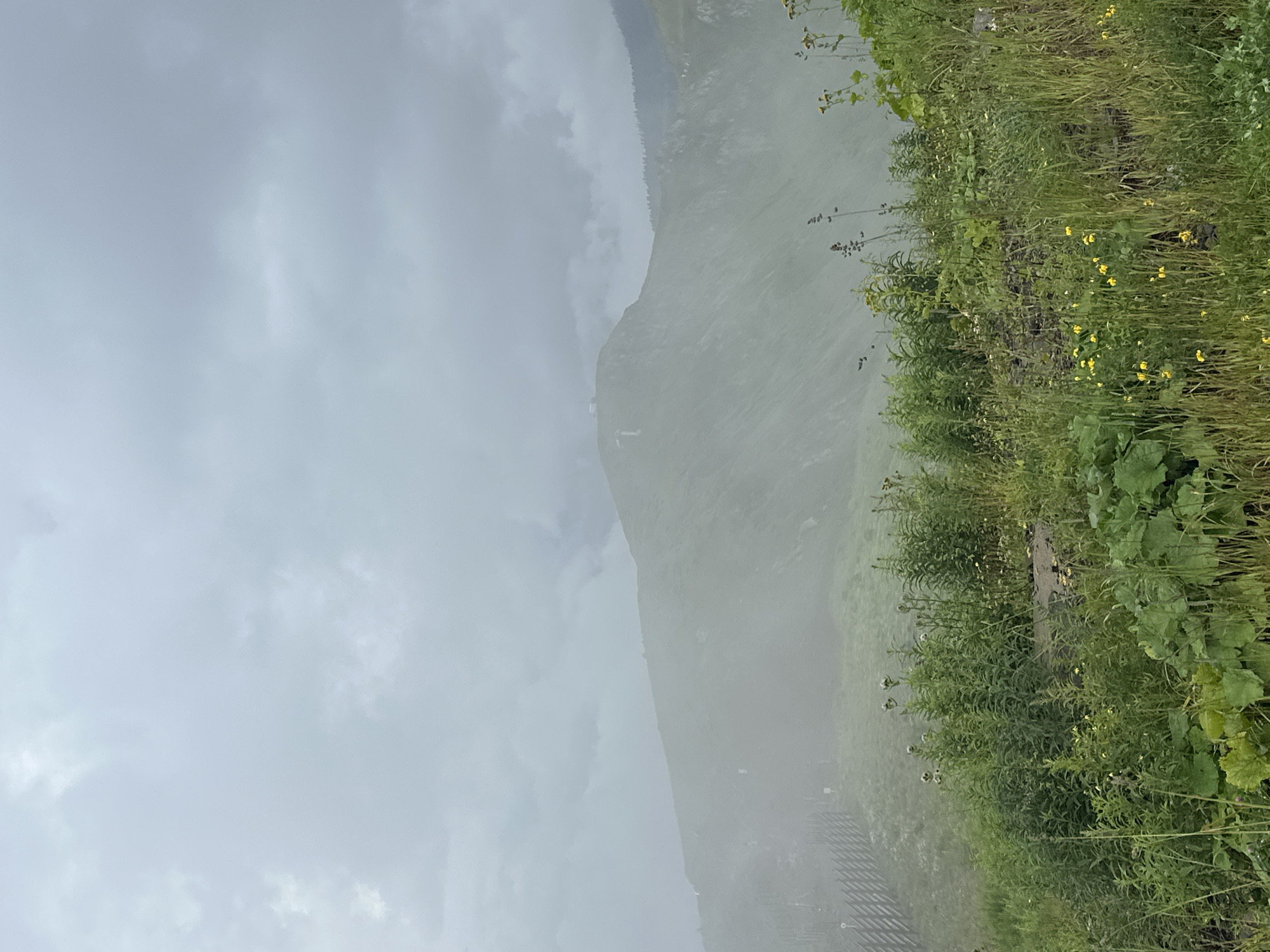 The image depicts a mountain landscape on a cloudy day, likely in the vicinity of Estosadok, Russia. In the foreground, lush green vegetation and some small yellow wildflowers grow, with tall grass and broad leaves present. A wooden fence runs along the left side of the frame, bordering a grassy slope.
The mid-ground is dominated by a green mountain, partially obscured by mist or fog. A building with a white roof is visible on the summit of the mountain. The background features more rolling hills and mountains, fading into the overcast sky. The overall atmosphere is serene and natural, with a sense of wilderness and elevation. There are no people or animals visible in the image.