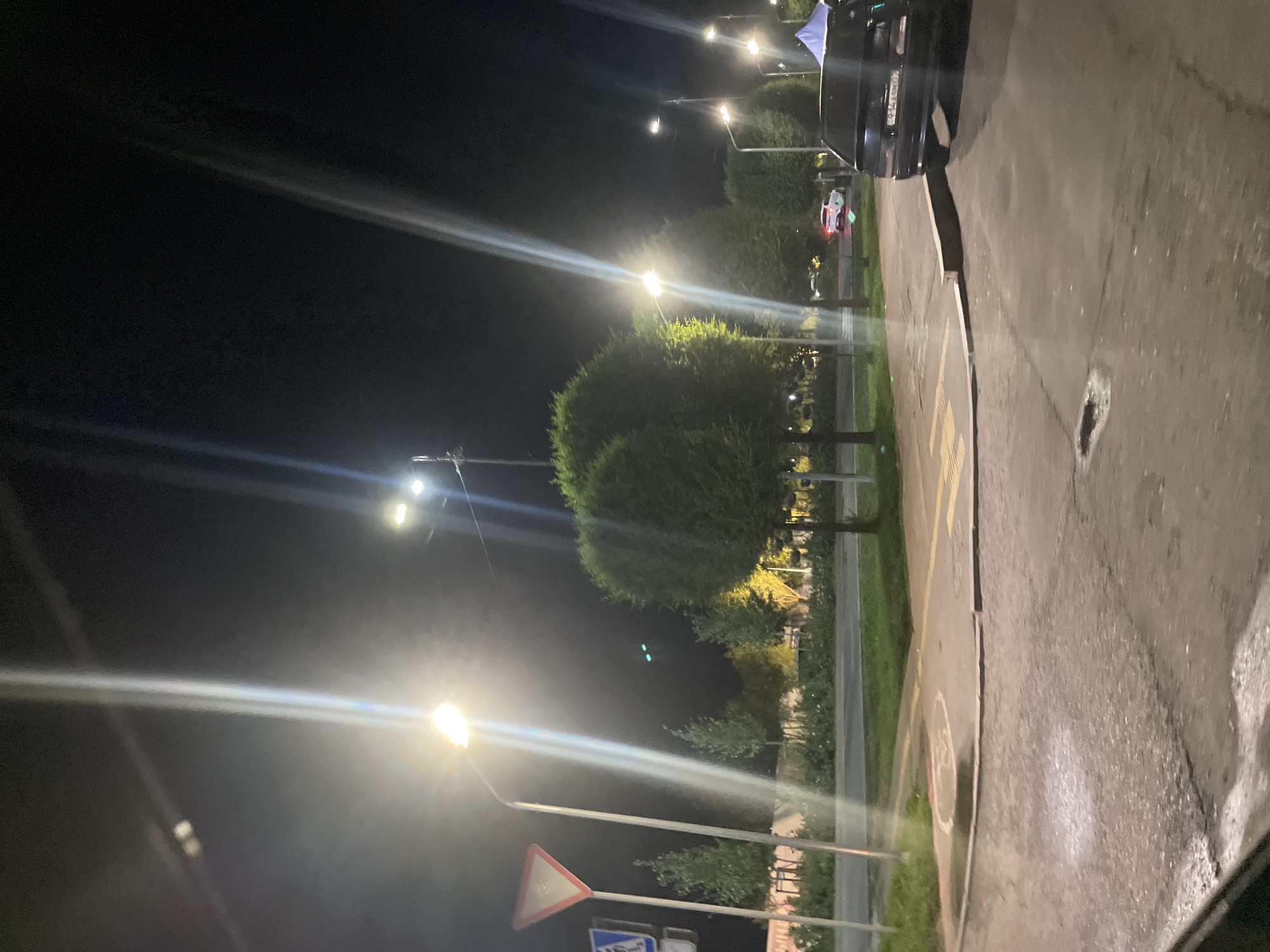 This is a night-time exterior shot of a street corner in Almaty, Kazakhstan. The scene is illuminated by streetlights, which create bright vertical lens flares. On the left side of the image, a triangular yield sign and a pedestrian crossing sign are visible. Several trees, some of which are trimmed into rounded shapes, line the sidewalk and the street. A dark-colored sedan is parked on the right side of the street, and a white car is visible further down the road. The asphalt surface appears wet, suggesting recent rain.