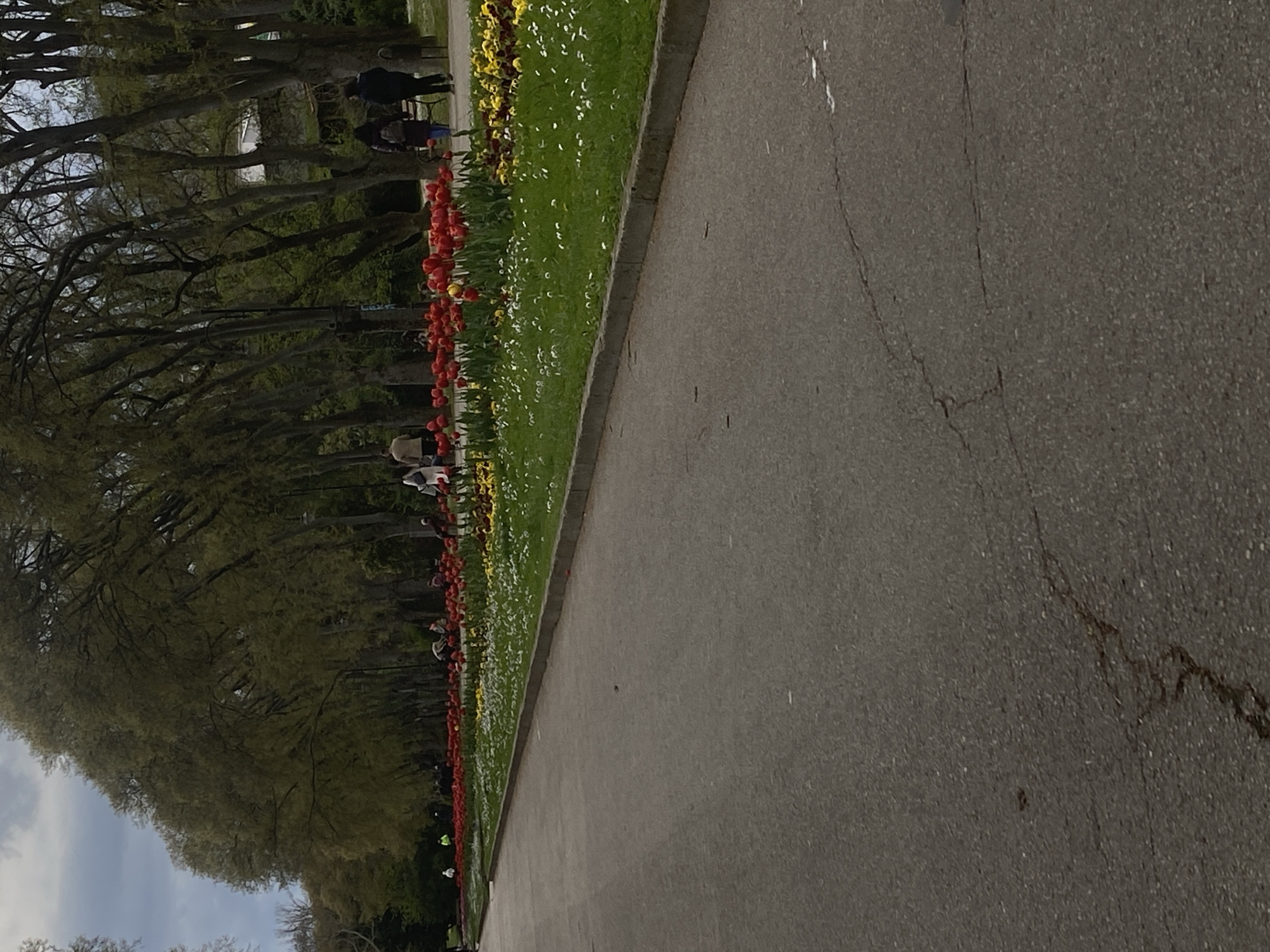 The image depicts a park in Varna, Bulgaria, identified by the tulips and other flowers along the pathway. A paved pathway occupies the right side of the frame. A flower bed containing red tulips, white daisies, and yellow pansies runs along the left side of the pathway. Beyond the flowers is a grassy area, and further to the left are trees. Some people are visible among the trees. The sky is partly cloudy.