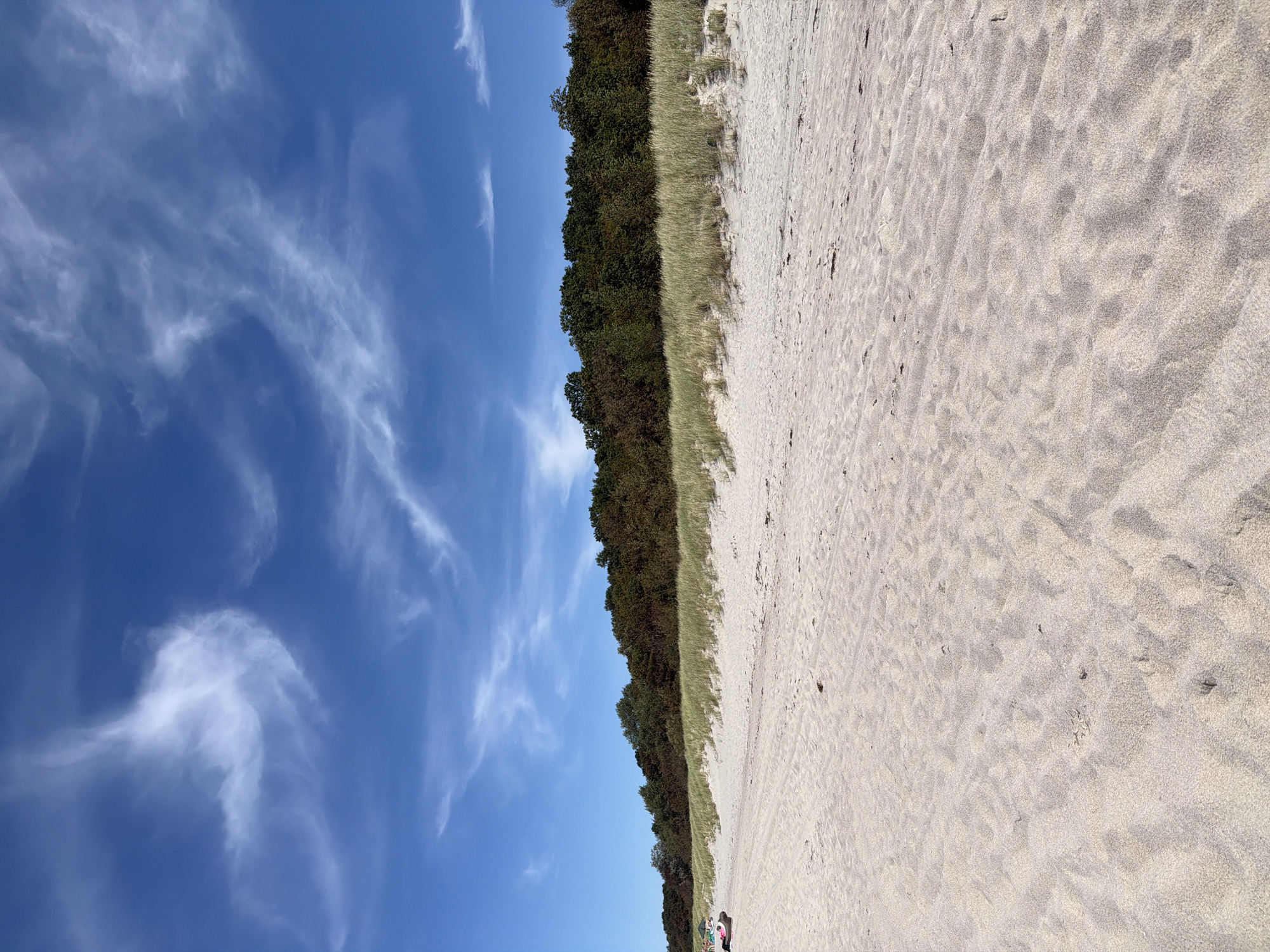 The image depicts a sandy beach with a clear blue sky above. Wispy white clouds are scattered across the sky. In the background, there is a dense line of green trees and vegetation. Some areas of the beach show tracks, possibly from vehicles or footprints. In the far left of the image, a person is visible sitting on a beach chair or lounger, with another person nearby. The overall scene suggests a tranquil day at the beach.