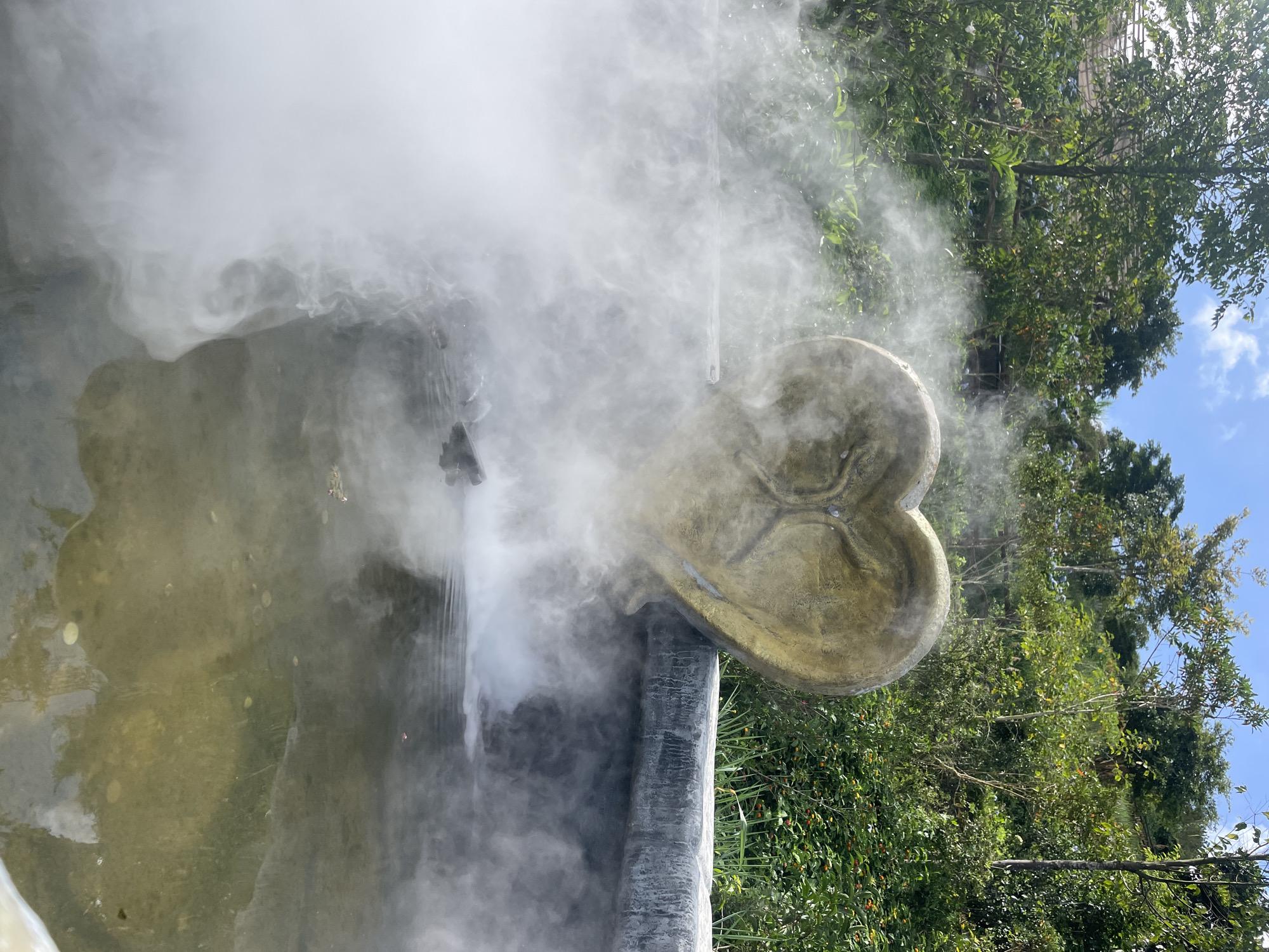 This image shows a close-up of a heart-shaped sculpture situated on the edge of a steaming pool of water. The sculpture is a light golden-brown color and has a textured surface, with a central design resembling a stylized tree or veins. It is positioned to the right of the frame, partially submerged in a grey concrete structure that forms the edge of the pool.
The pool itself is filled with murky, greenish-brown water, and a significant amount of white steam rises from its surface, obscuring the lower portion of the sculpture and the pool's edge. The steam creates a dramatic, atmospheric effect, with wisps and tendrils swirling around the heart.
In the background, a lush, green forest occupies the upper portion of the image. Various trees and dense foliage are visible, with some dappled sunlight filtering through the leaves. The sky above is a bright blue with scattered white clouds. There are no people or animals visible in the scene.
The image appears to be taken outdoors, likely in a natural or semi-natural setting, possibly a hot spring or a decorative garden feature. The presence of the heart sculpture and the steam suggests a place of relaxation or romantic ambiance. While the general environment is a lush, vegetated area, the specific location in Thôn 1, Vietnam cannot be determined from the visual information alone.