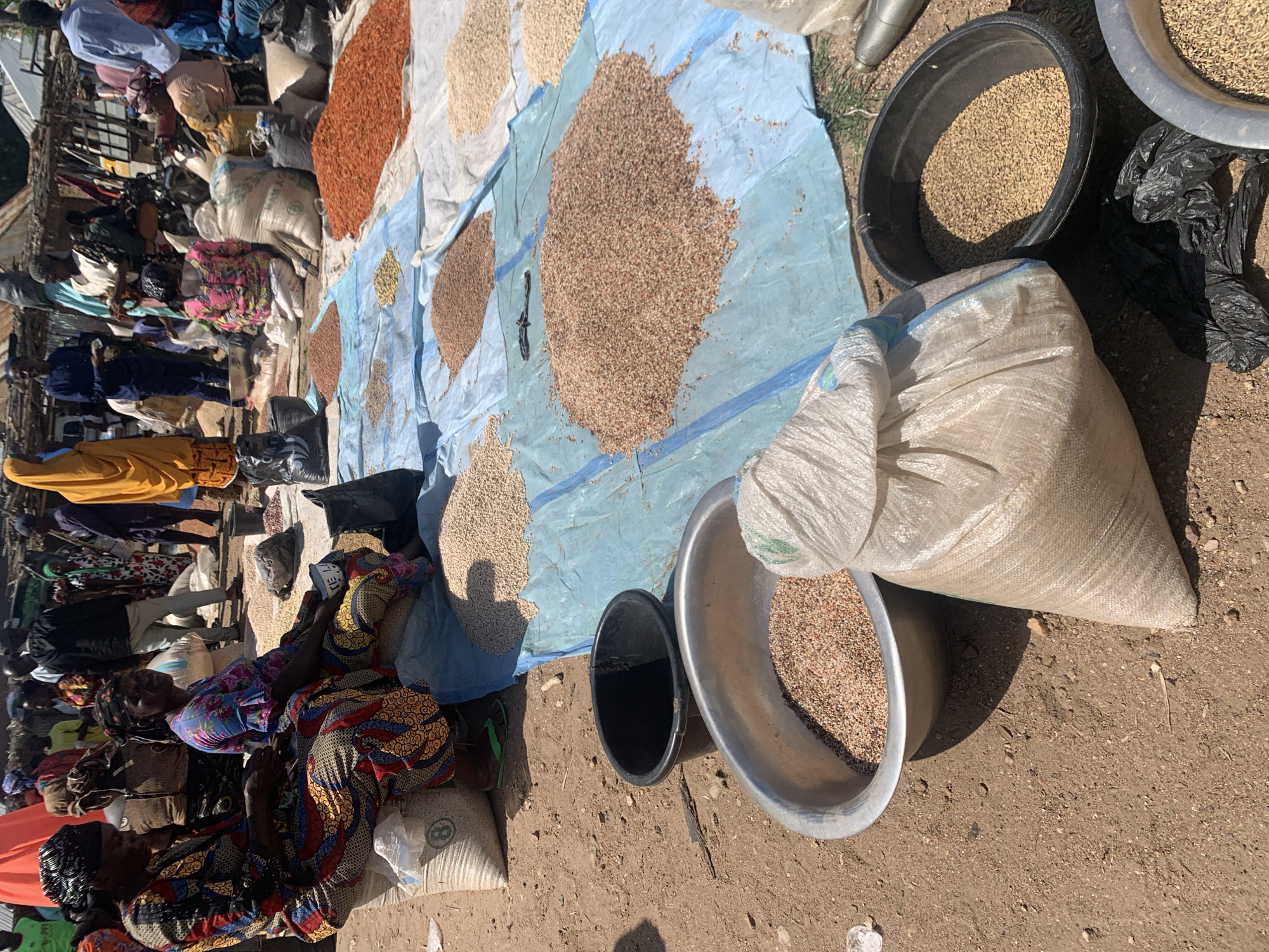 The image depicts an outdoor market scene in Boi A, Nigeria, likely during daytime given the strong shadows. A variety of grains and pulses are displayed on a large blue tarp, spread out on the dusty ground. The grains are sorted into different piles, some appearing as small seeds like millet or sorghum, while others are larger beans or lentils.
Several people are present in the scene, though their faces are not clearly visible due to the angle and focus. They are dressed in casual clothing, with some women wearing colorful patterned fabrics and headscarves. Some individuals appear to be vendors, arranging the goods, while others might be shoppers. A significant portion of the image is dedicated to the bulk grains themselves, with large sacks and metal bowls holding substantial amounts of produce.
In the foreground, a large woven sack is partially visible, and a metal bowl filled with a reddish-brown grain sits next to a black plastic tub containing lighter-colored grains. To the right, another large metal basin holds a similar reddish-brown grain. Shadows cast by people and objects suggest a sunny, possibly hot, day. The ground is uneven and appears to be dry earth, typical of an outdoor market setting. The overall impression is one of vibrant commerce and daily life in a Nigerian community, with a focus on agricultural products. There is no visible text in the image.