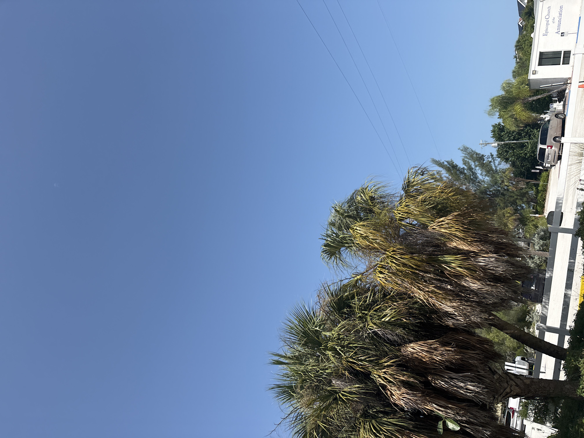 In Holmes Beach, Florida, a daytime scene captures a clear blue sky with a faint crescent moon visible. Palm trees with varying shades of green and dry fronds dominate the foreground, with their trunks partially obscured by foliage. A white fence runs horizontally across the lower portion of the image, separating the viewer from a paved area.
Beyond the fence, a light-colored minivan is parked in front of a modern, white building with a dark-framed window. A sign on the building reads "Episcopal Church of the Annunciation." Two handicap parking signs are visible near the minivan. In the background, several other vehicles, including a white SUV, are partially visible behind the palm trees. Additional trees and some buildings with red roofs are also present in the distance. Power lines are strung across the sky.